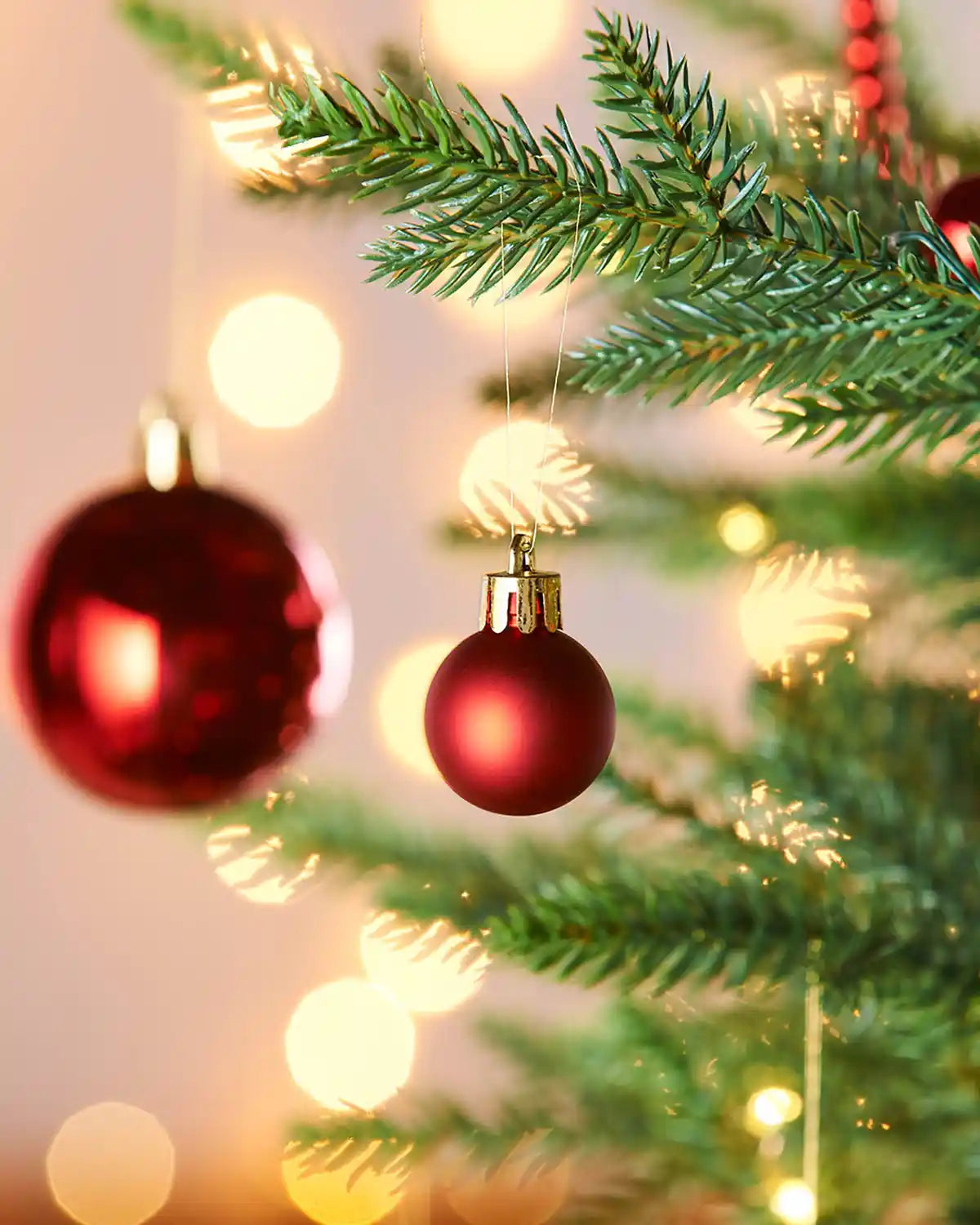 2 Red Christmas baubles on a tree with blurred lights in the background