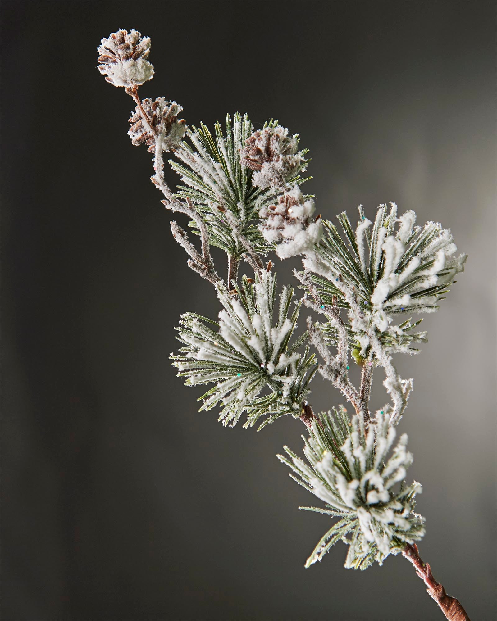 Artificial Snow Flocked Pinecone Pick, 77 cm