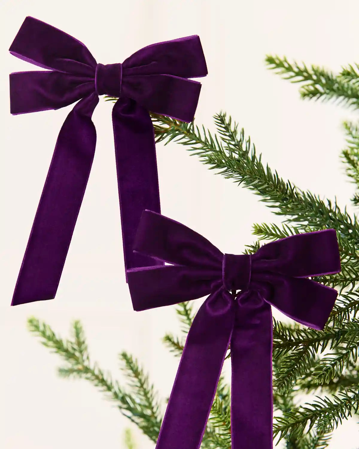 2 purple velvet Double Bows placed on Christmas tree branch tips with blurred cream background