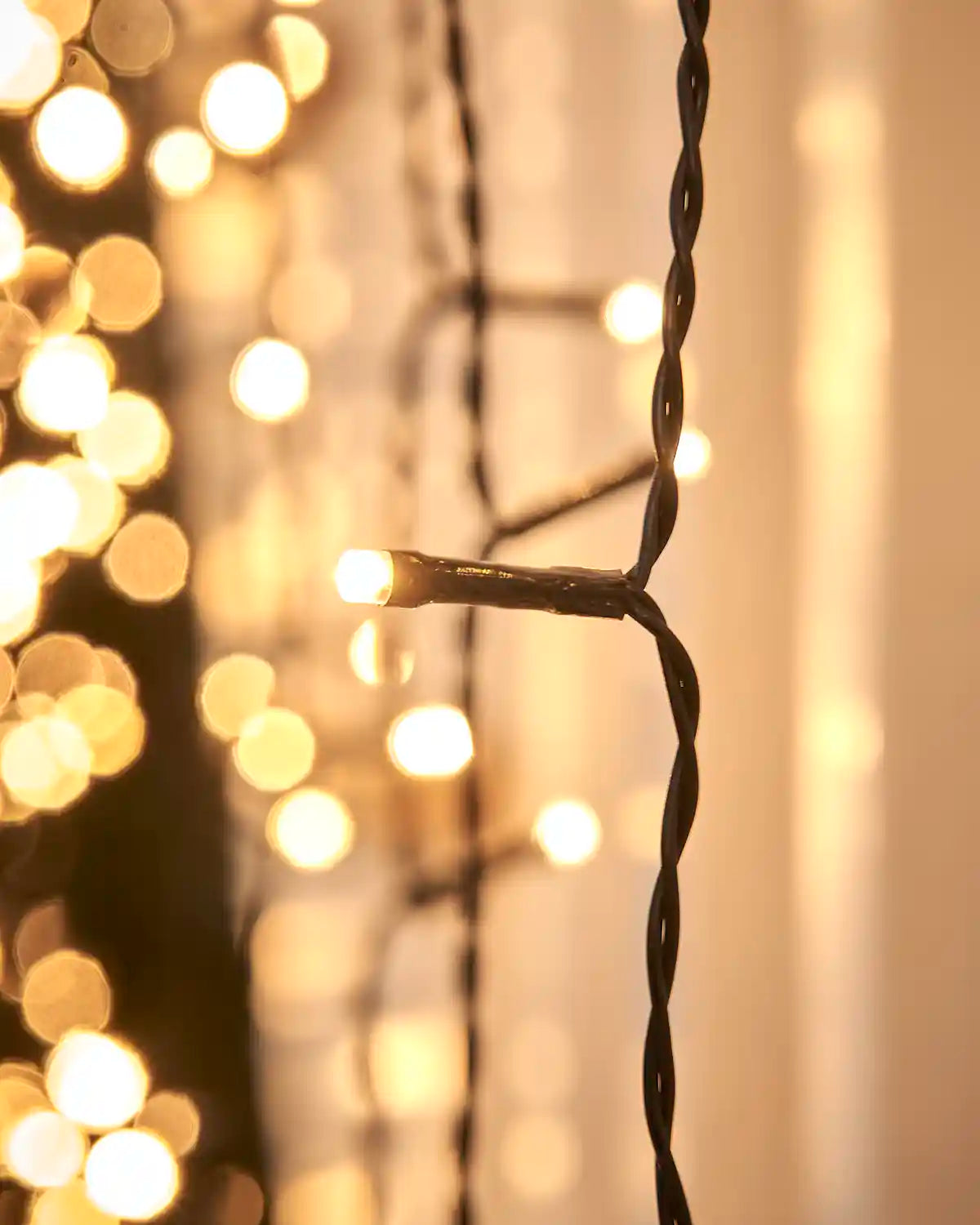 Close-up of a warm white LED on black cable with soft lights in the background.
