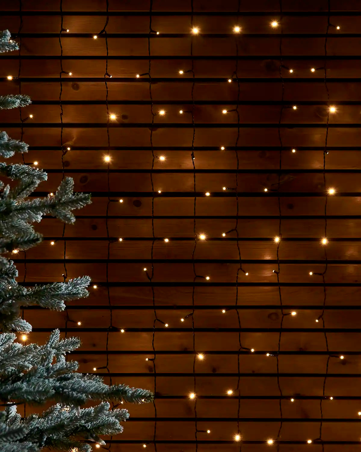 Warm white curtain lights on black cable hanging against a wooden wall beside a frosted tree.