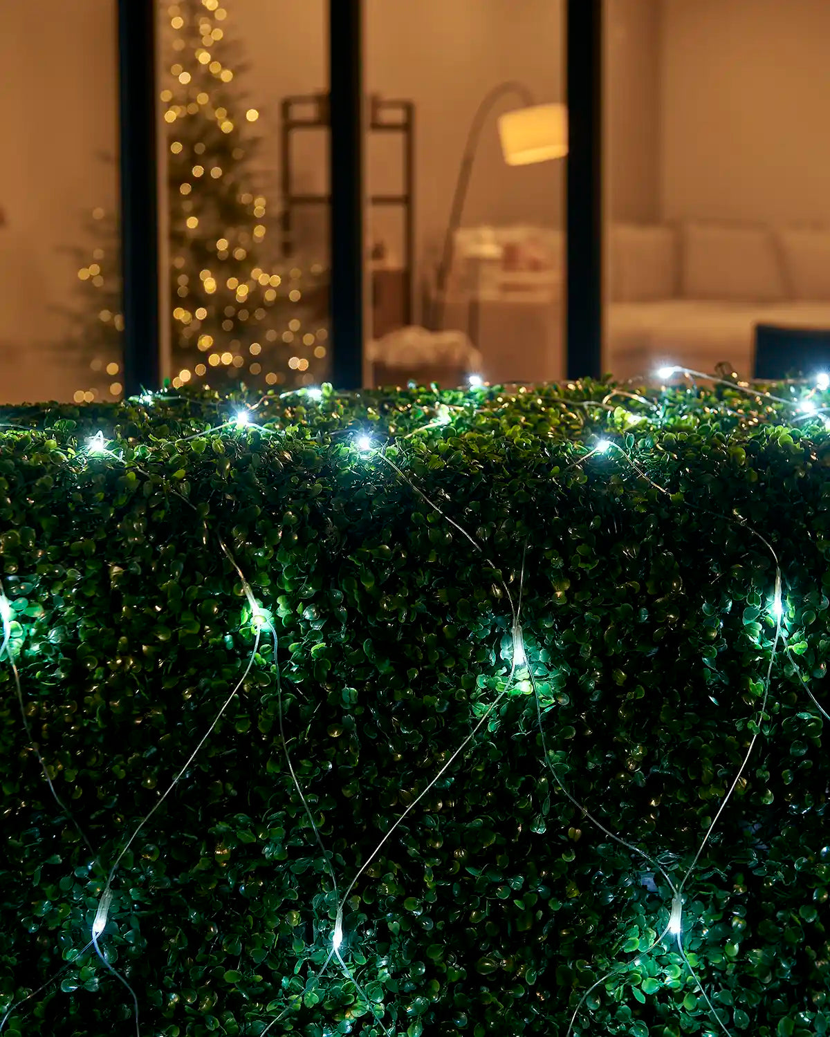 White net lights displayed over a hedge outside a home window, with iridescent cable visible.