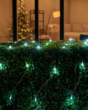 White net lights displayed over a hedge outside a home window, with iridescent cable visible.
