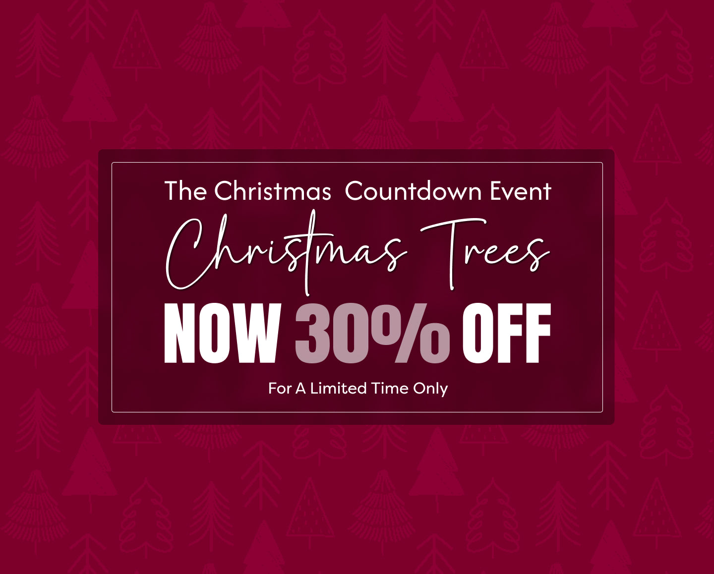 Pop Up Christmas Trees