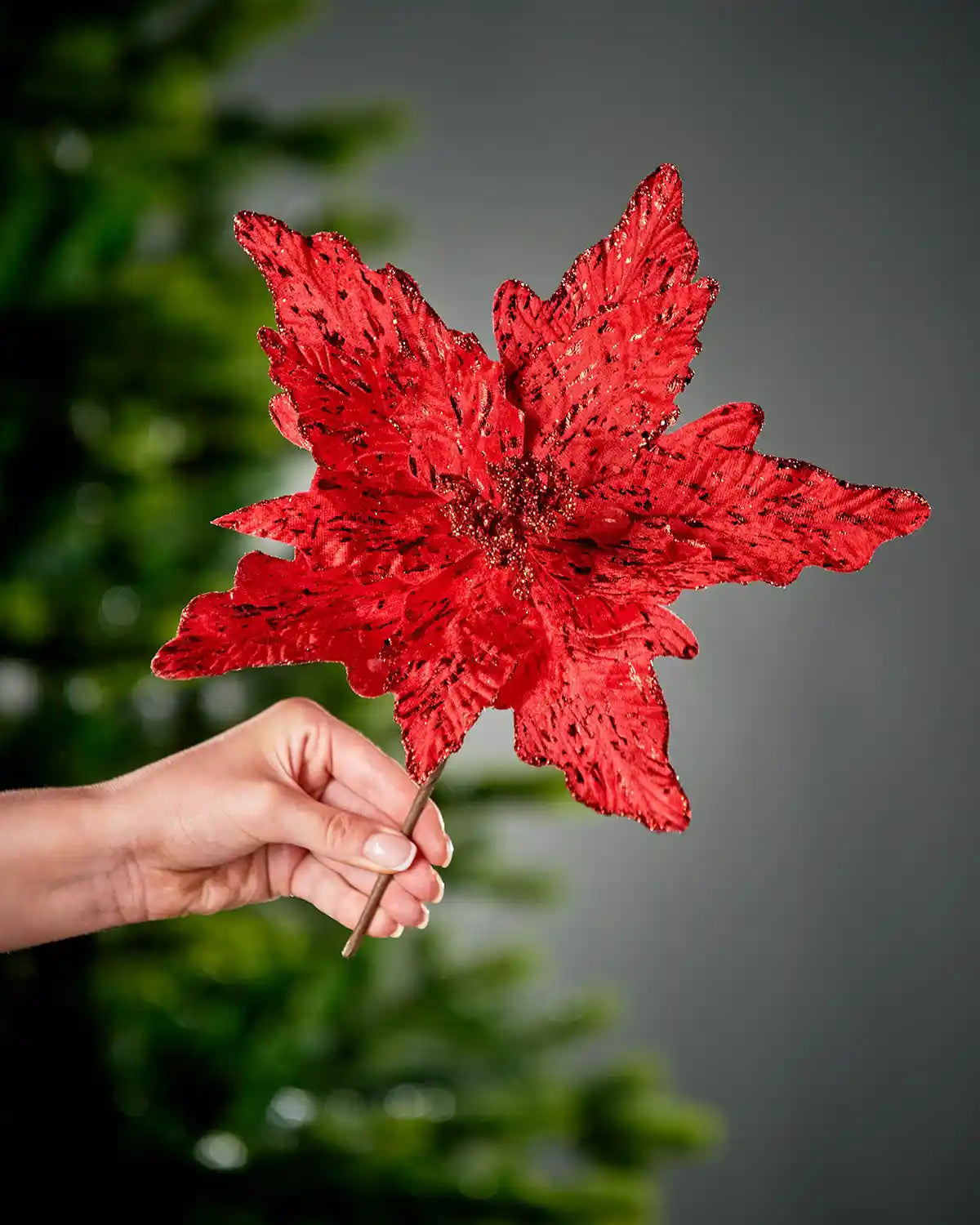 30 cm red artificial poinsettia flower held beside a Christmas tree