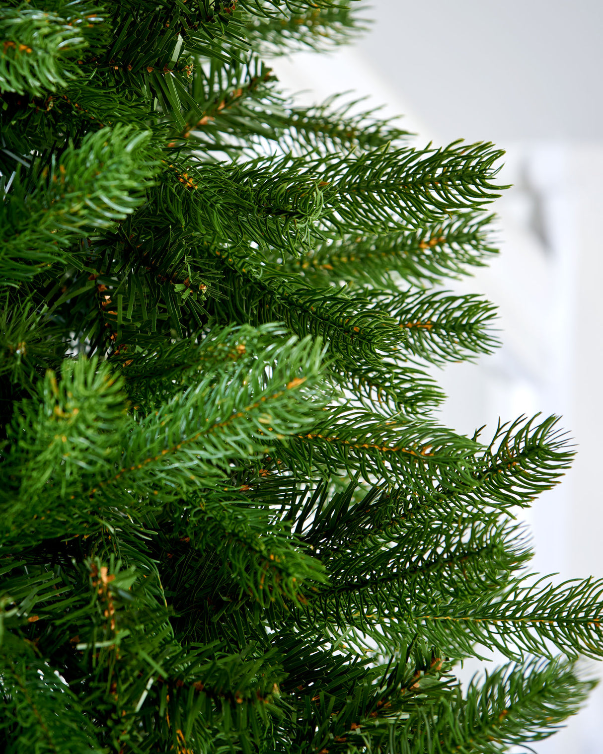 Large Mixed Pine Christmas Tree, 8ft