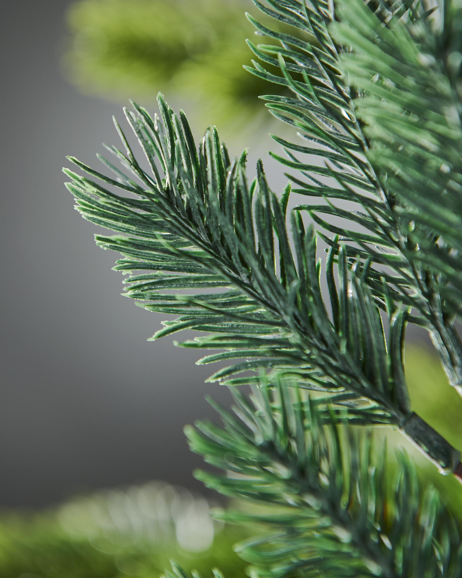 Set Of 5 Frosted Spruce Picks, 32 cm
