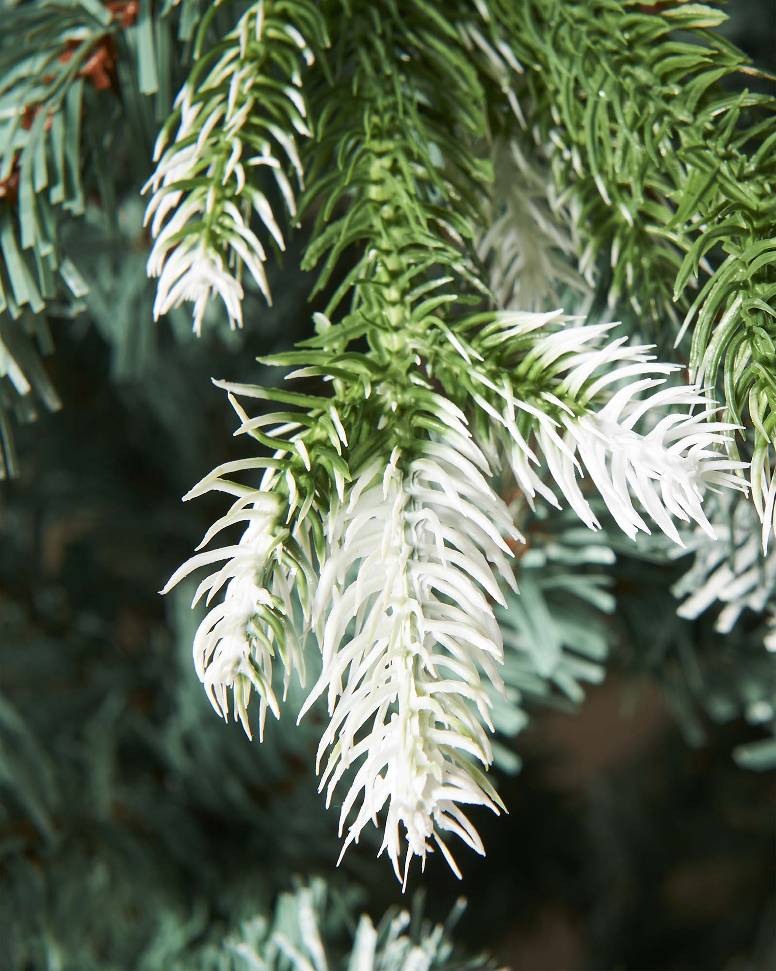 Life-like Evergreen Christmas tree with white snow-flocked tips and mixed cool green and blue tones, featuring hinged branches for easy assembly and storage—perfect for creating a trendy, rustic festive display indoors.