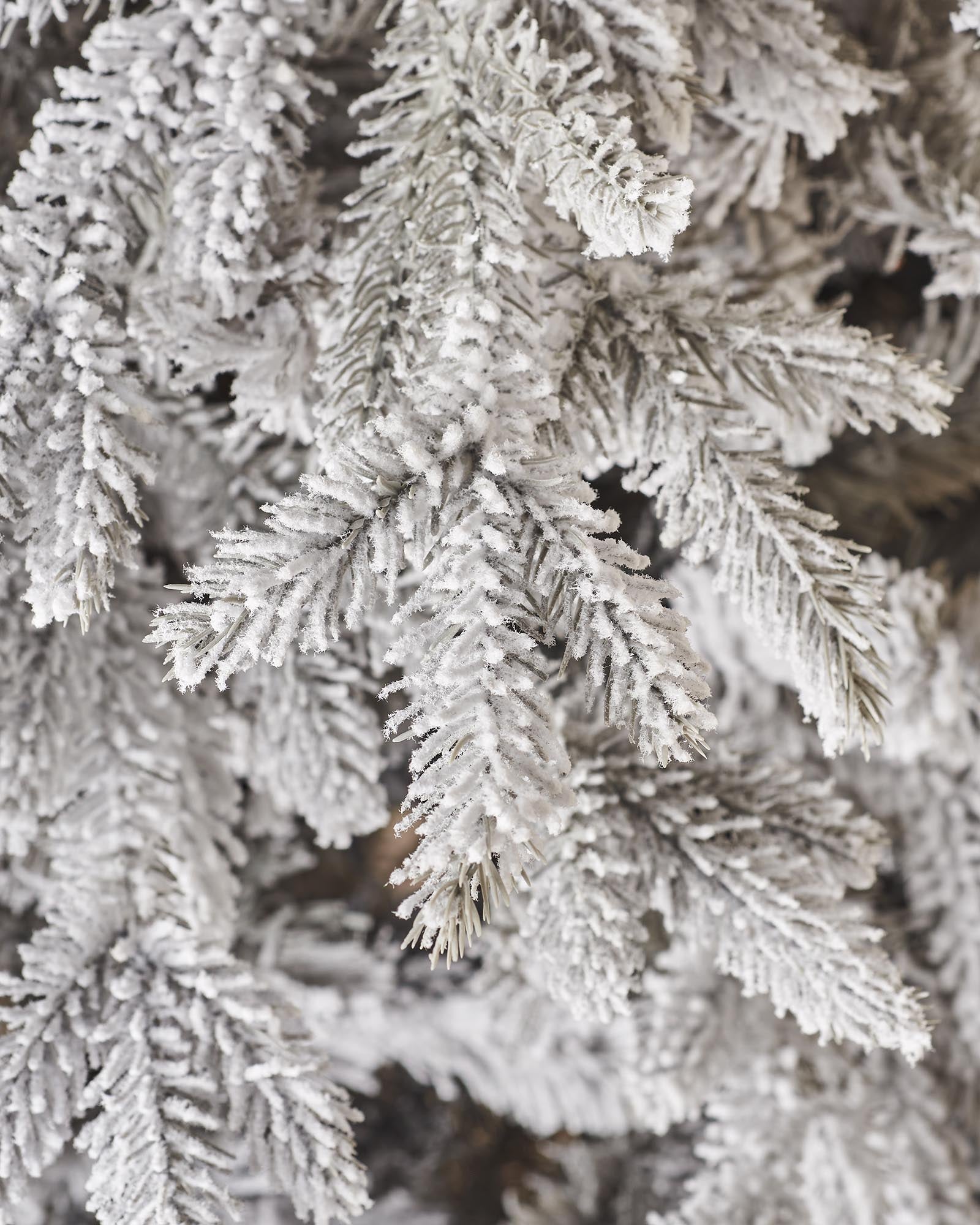 Snow Flocked Grey Fir Christmas Tree, 7 ft