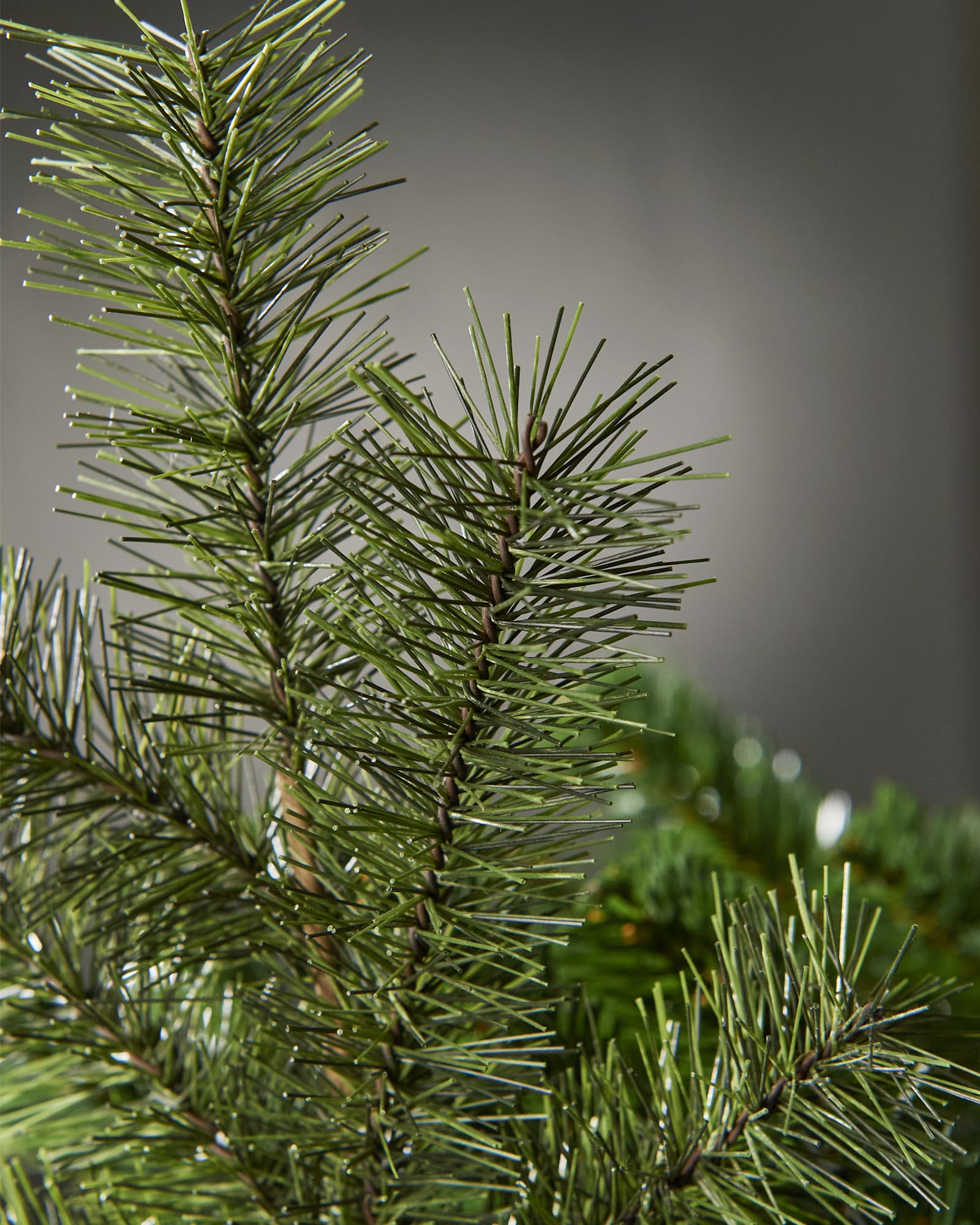 Set of 5 Pine Pick, 28 cm
