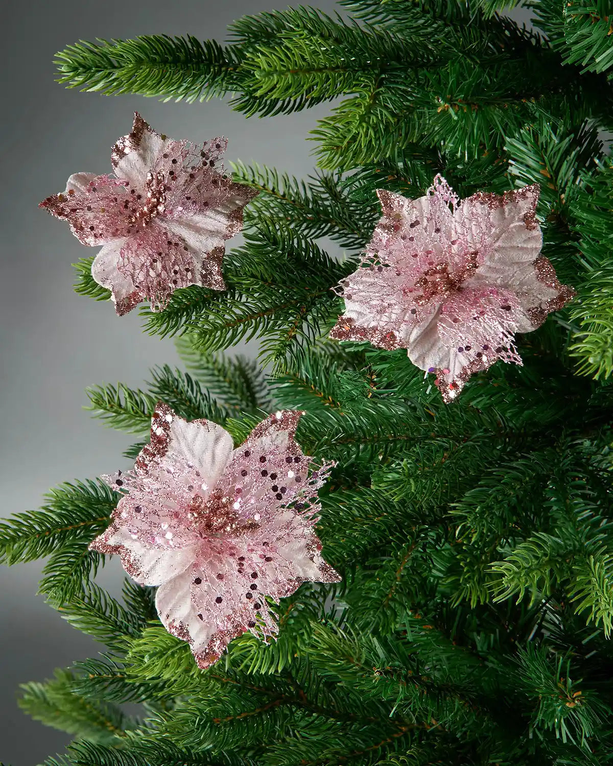 3 Baby Pink Artificial Poinsettia glitter Flowers with silver clips on a Christmas tree