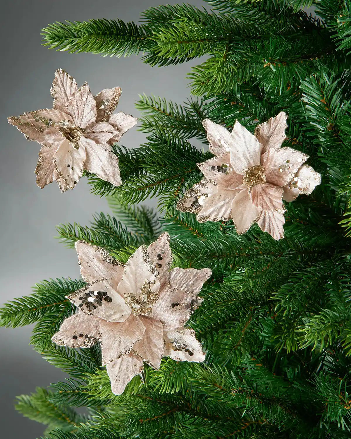 3 Gold Artificial Poinsettia Flowers with Clip on a Christmas tree with a grey background