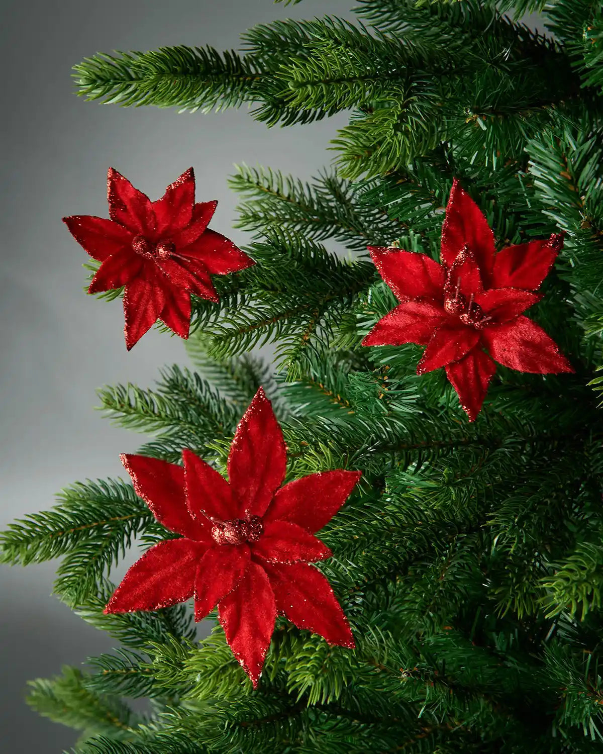 3 Red poinsettia flowers on a Christmas tree against a grey background