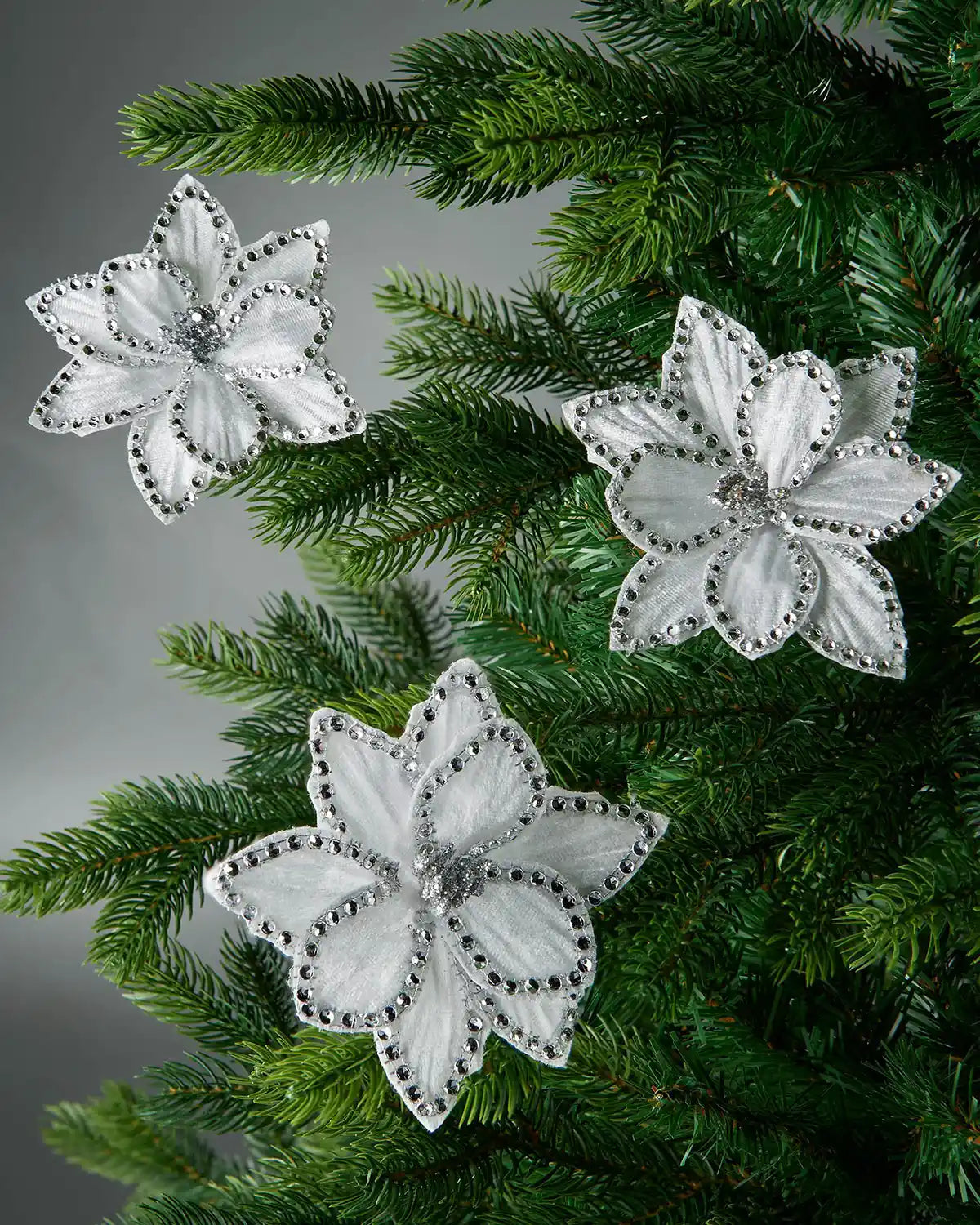 3 White Poinsettia flowers on a Christmas tree