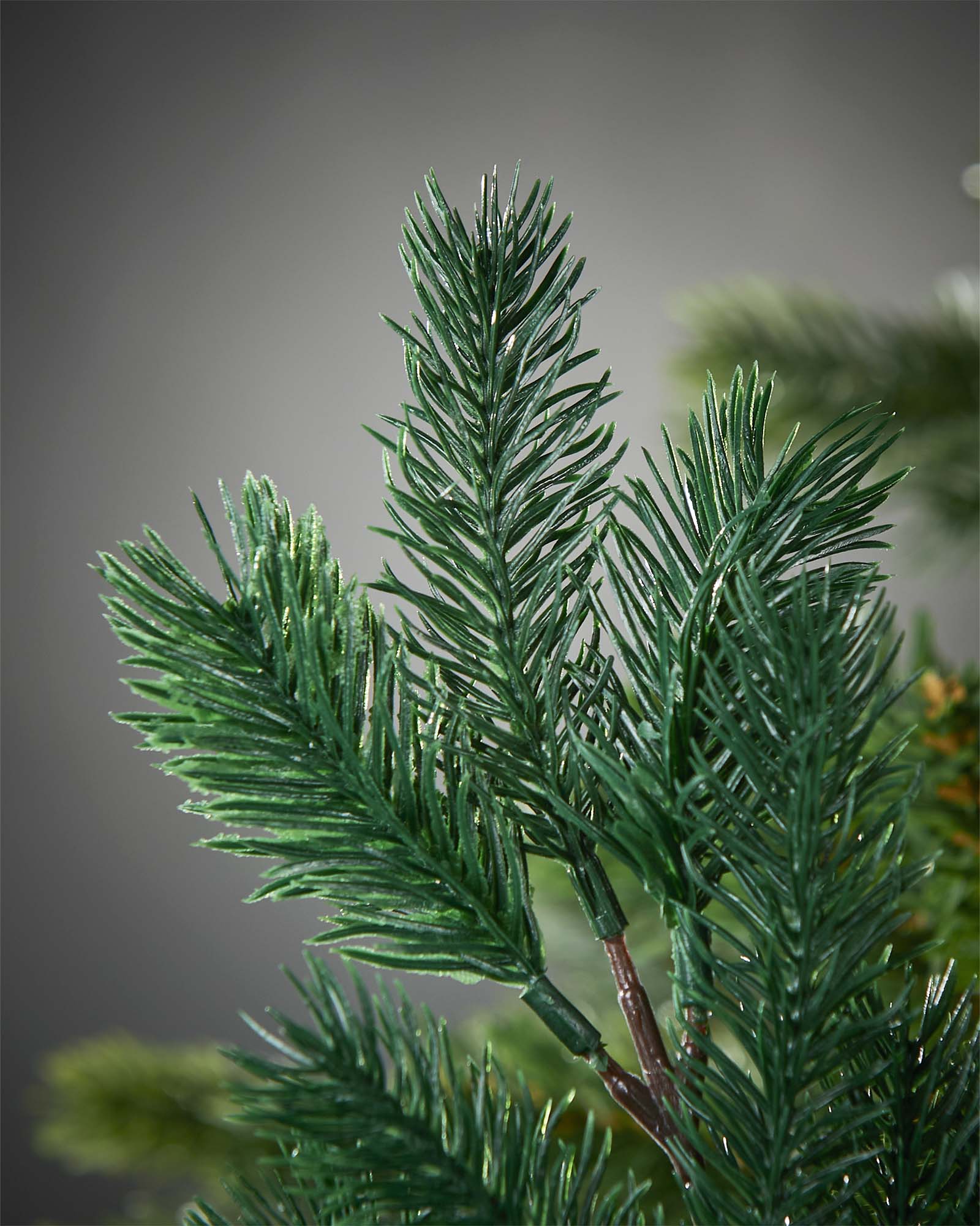 Set of 5 Natural Spruce Picks, 32 cm