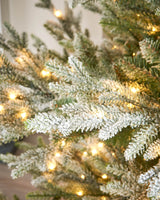 Pre-Lit Snow Flocked Douglas Fir Christmas Tree