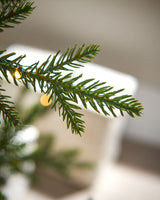 Pre-Lit Douglas Fir Christmas Tree