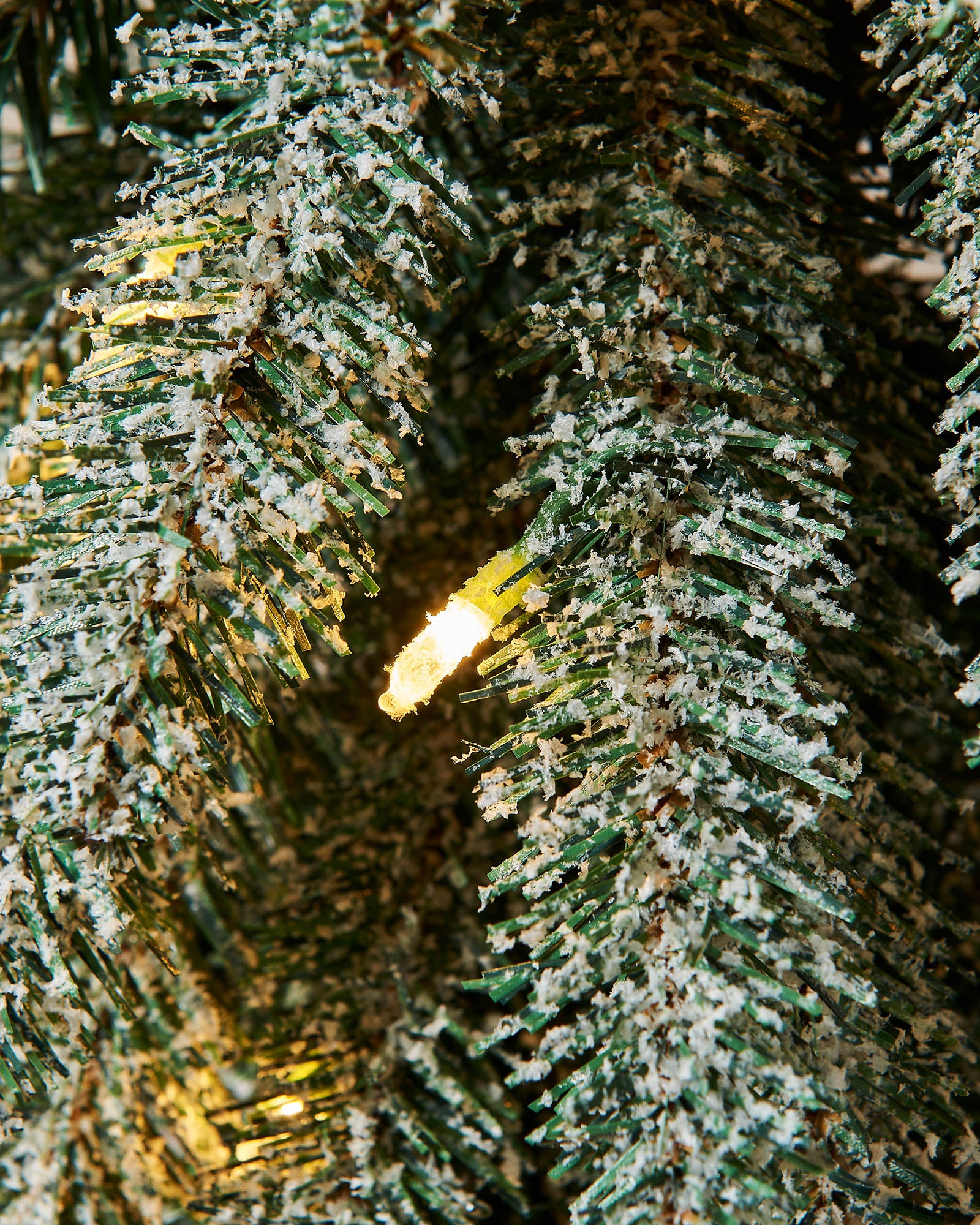Close-up of a decorated Christmas tree with lights and ornaments.