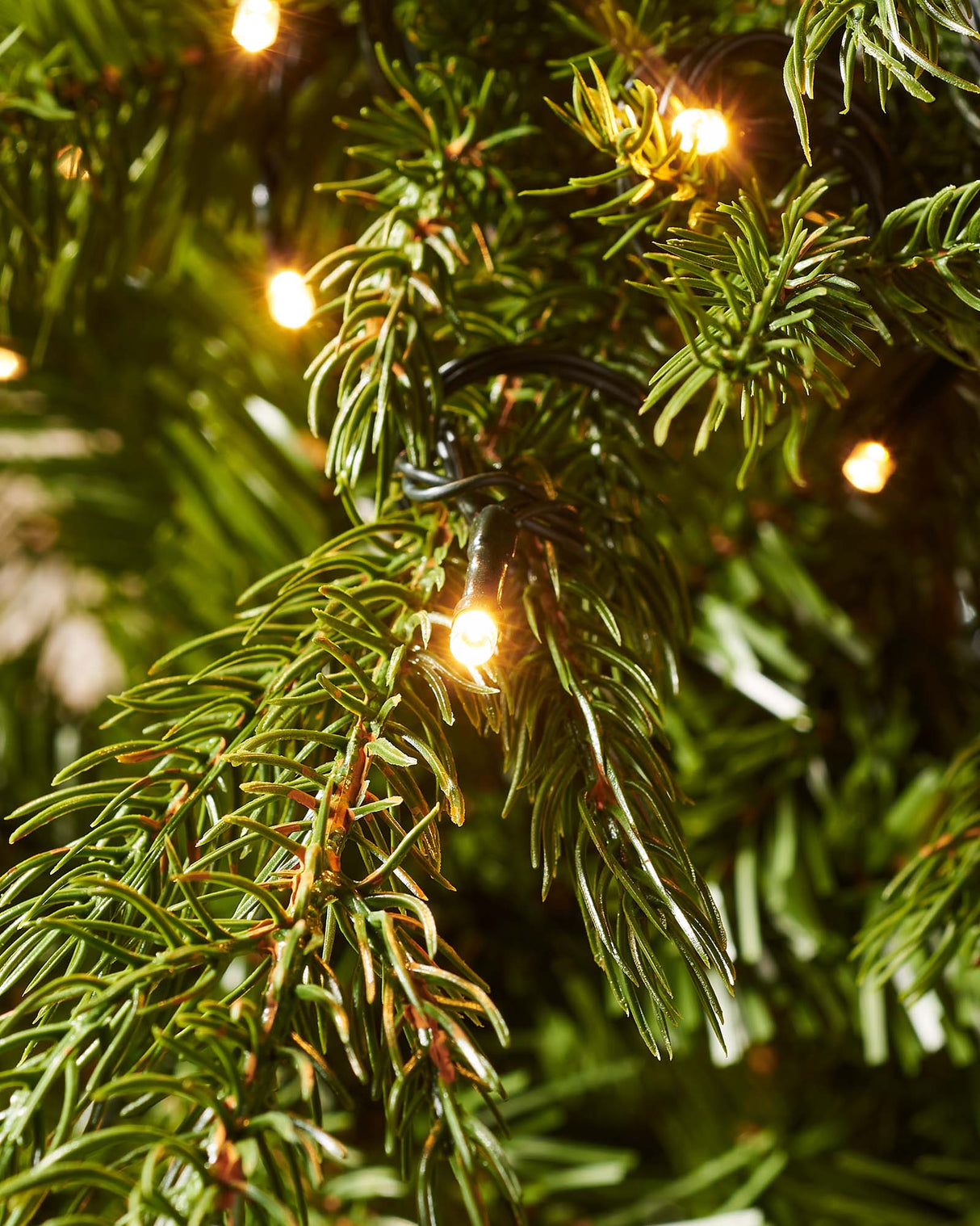 Pre-Lit Windsor Fir Christmas Tree, 5 ft