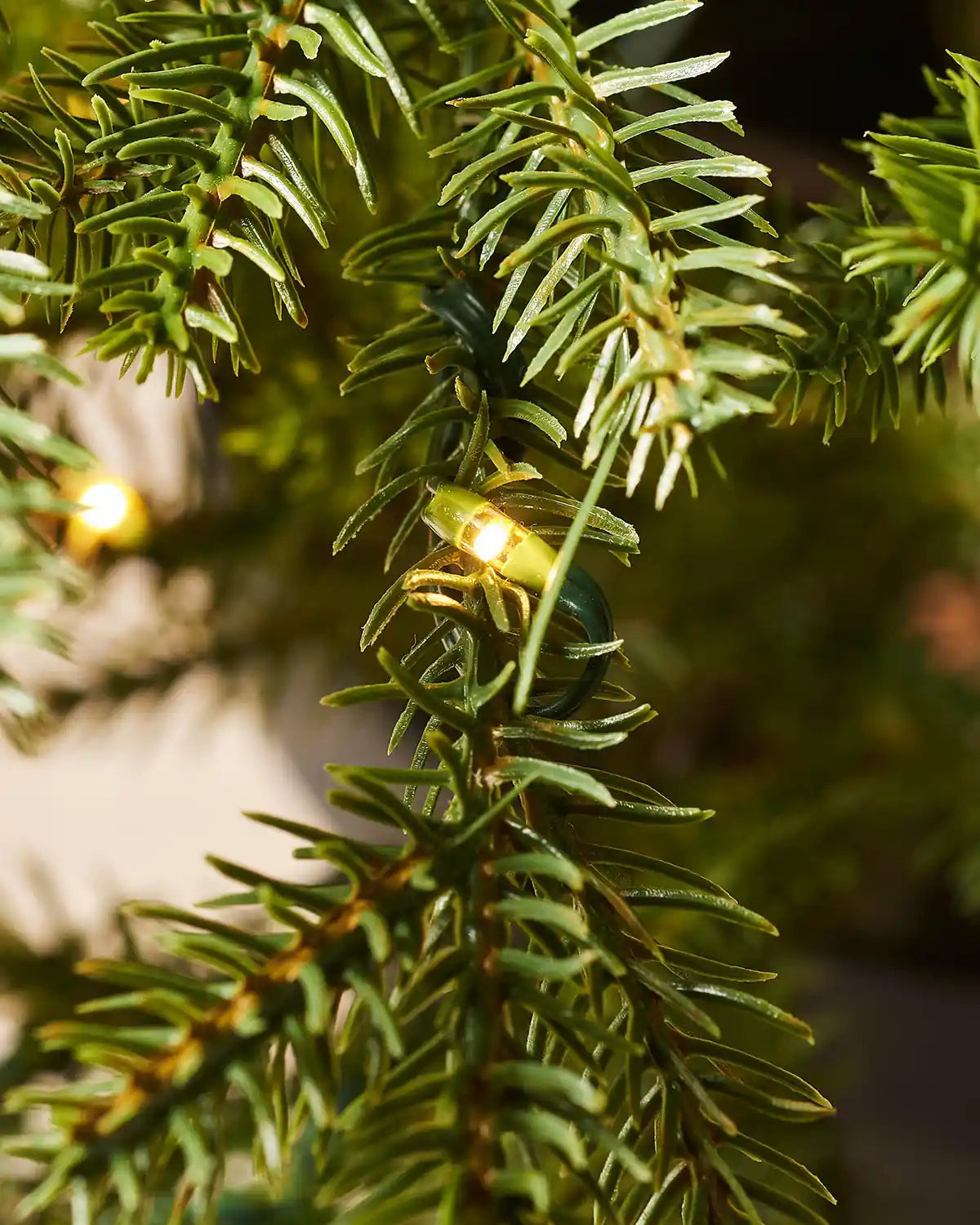 Close-up of warm white copper wire LED lights on Douglas fir foliage