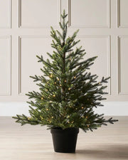 3 ft pre-lit potted Douglas fir Christmas tree displayed indoors