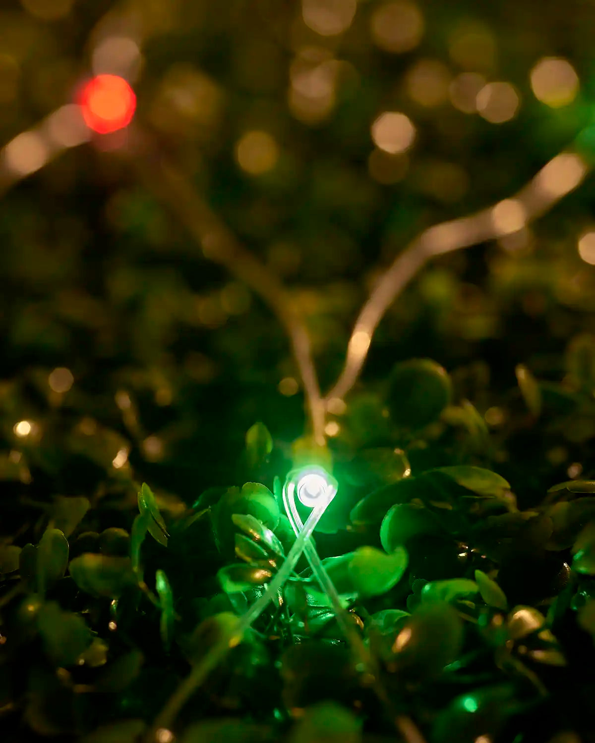 Multi-colour net light close-up with transparent cable resting on hedge leaves.