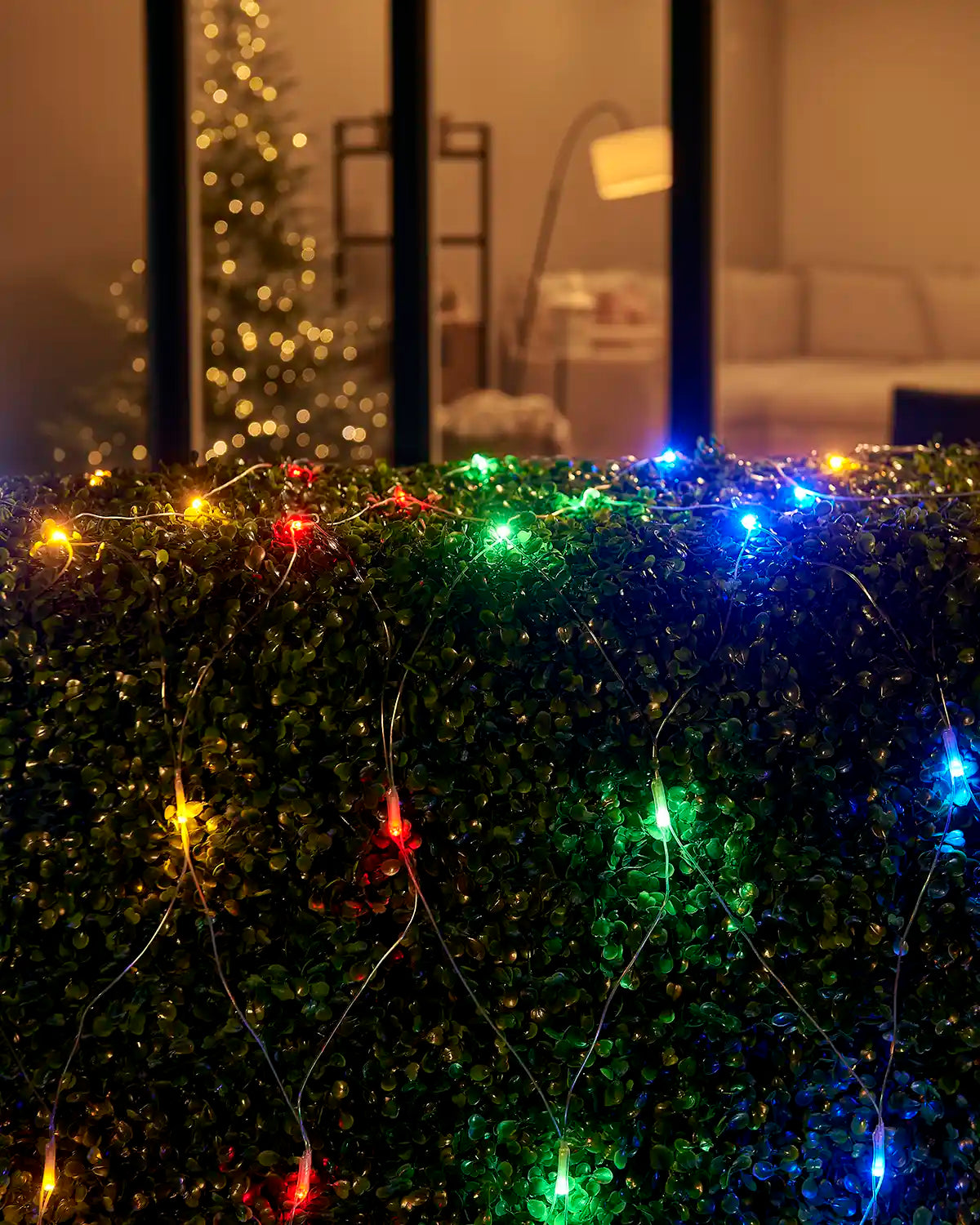 Multi-colour net lights displayed over a hedge outside a home window.