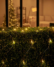 Warm white net lights displayed over a hedge outside a home window, with iridescent cable visible.