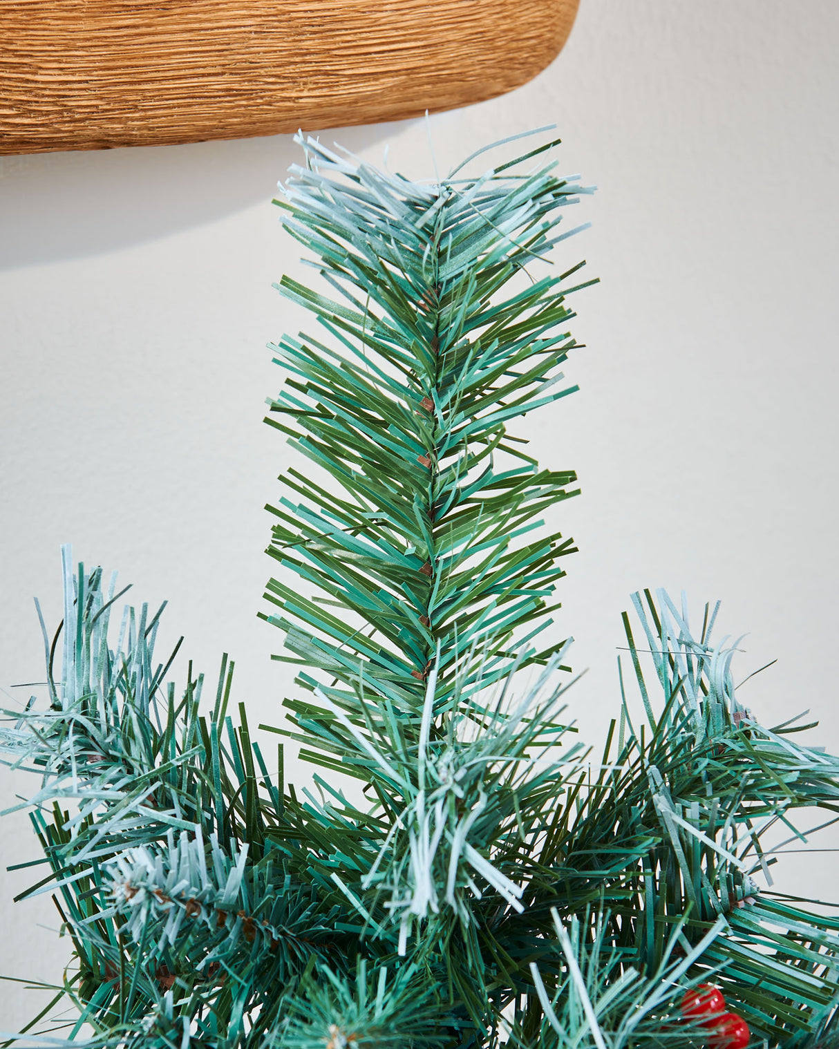 Potted Tree Bundle- 2x Potted Scandinavian Blue Spruce Christmas Tree, 3 ft