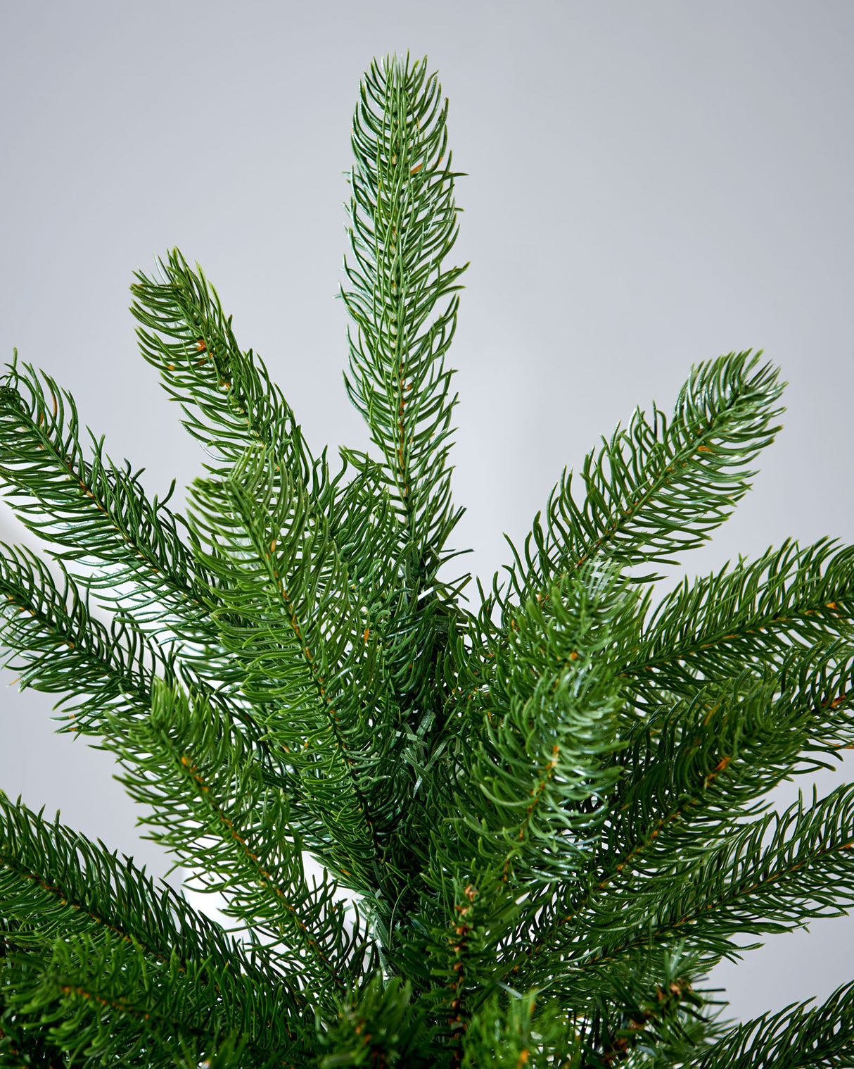 Large Mixed Pine 8ft Christmas Tree