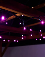 LINK PRO LED String Lights, Black Cable, Pink