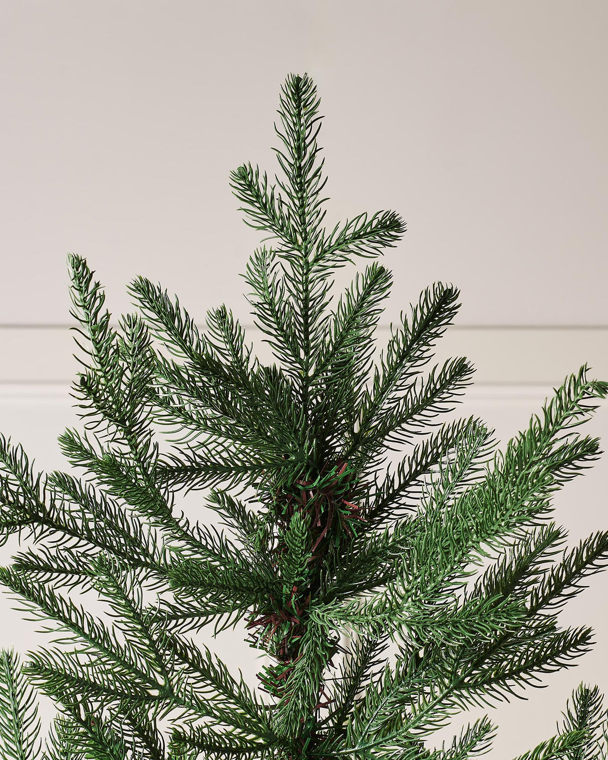 Northern Fir Christmas Tree, 7 ft