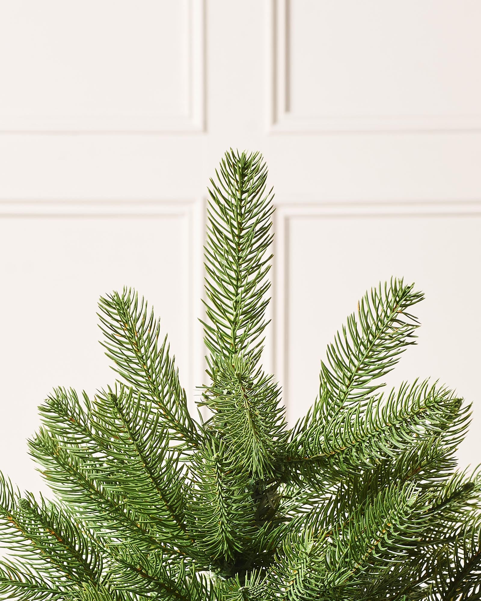 Mixed Pine Traditional Potted Christmas Tree, 3 ft
