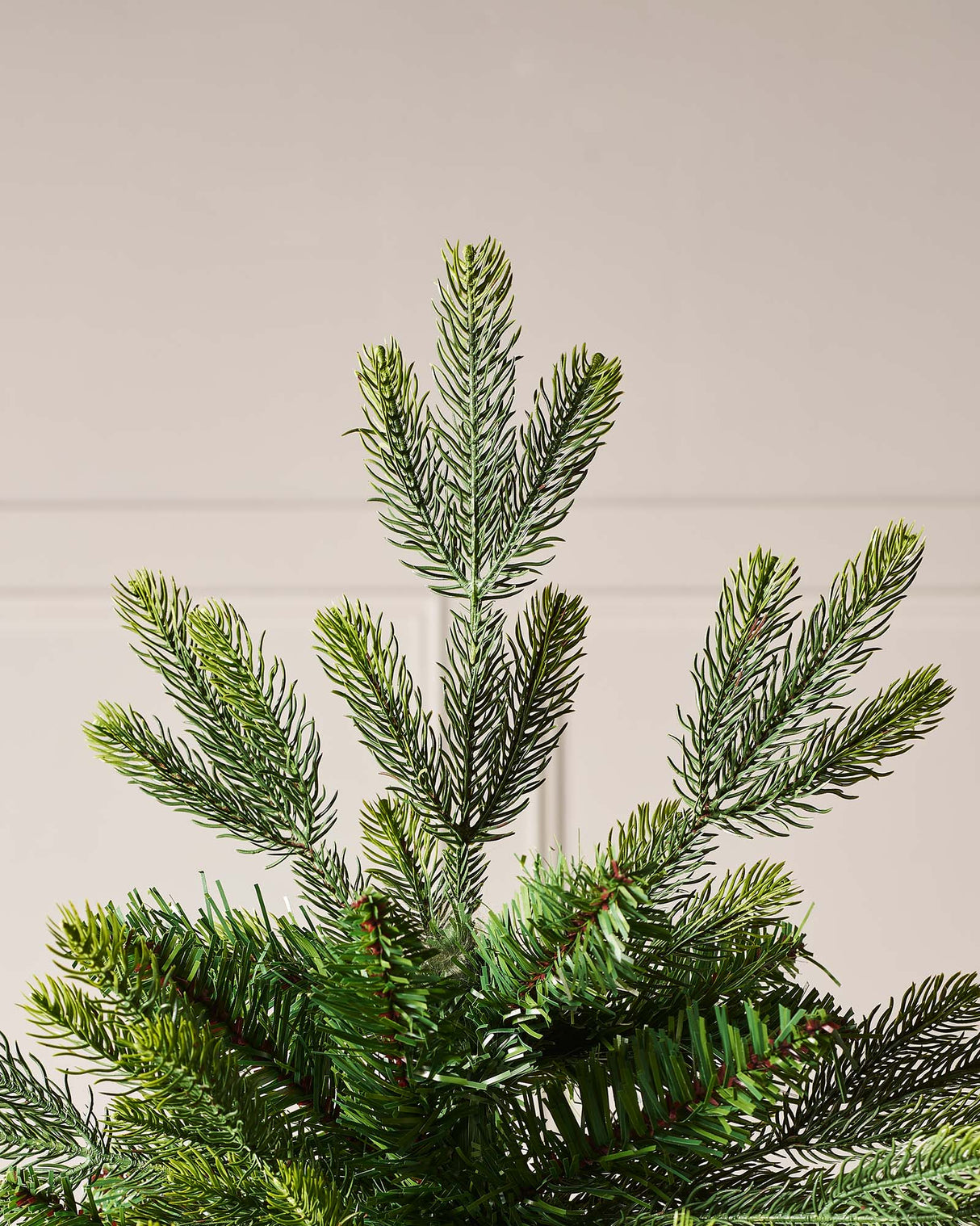 Himalayan Fir Christmas Tree, 8 ft