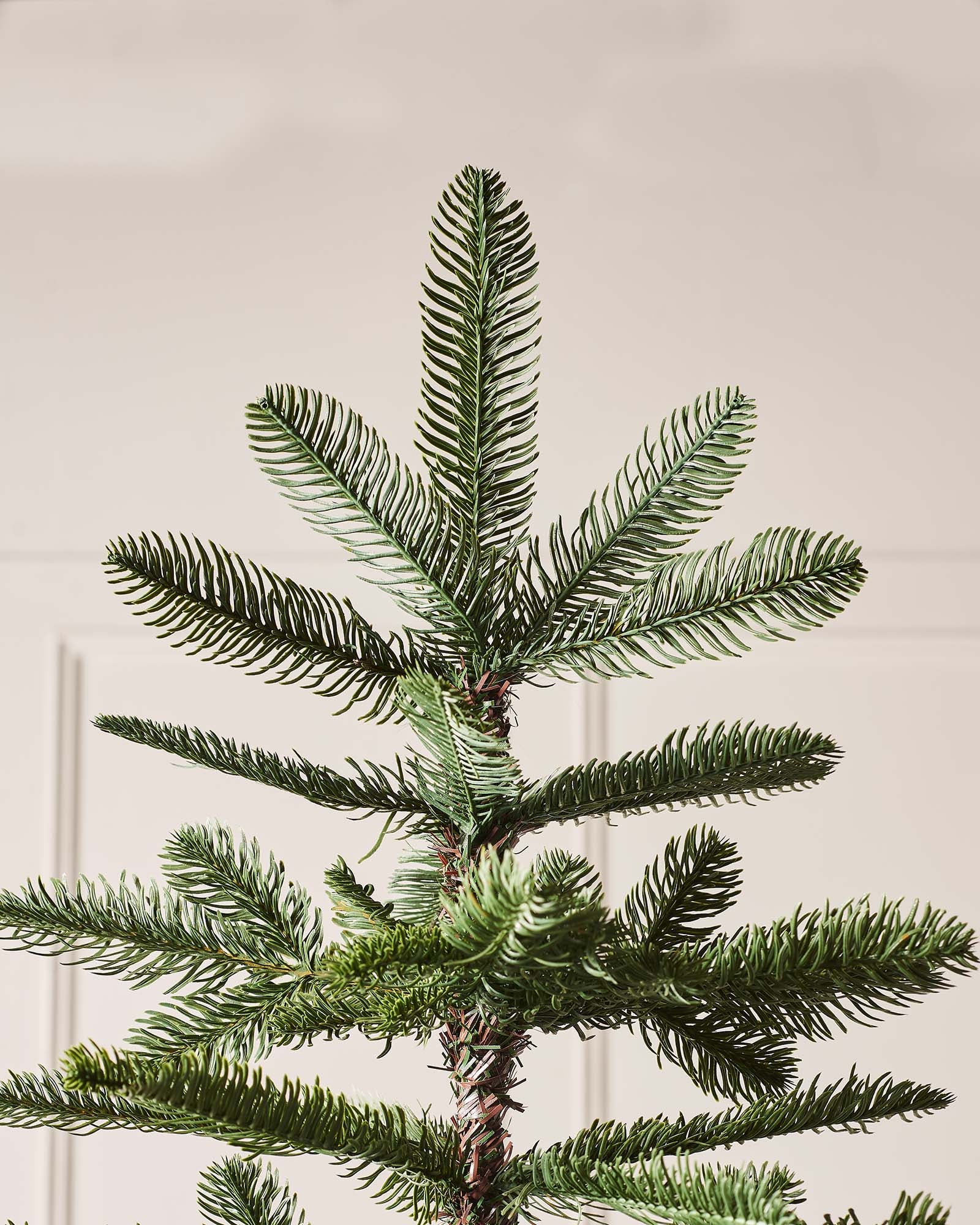 Nordmann Fir Christmas Tree, 9 ft