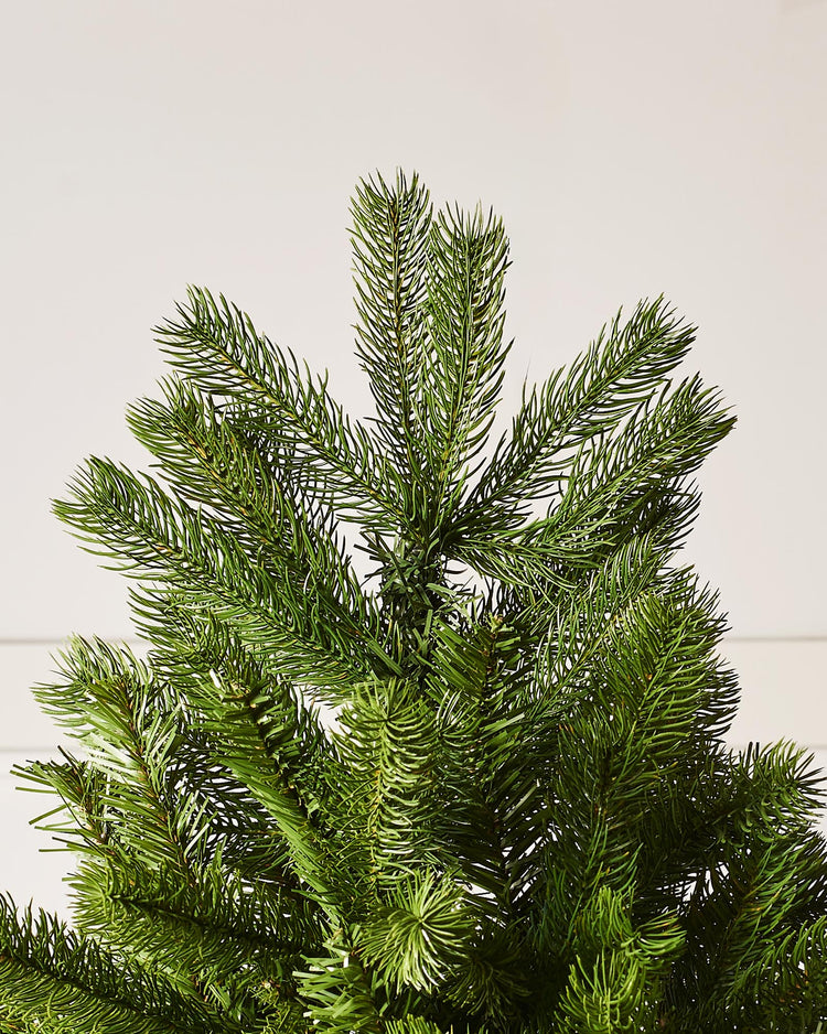 Mocha Christmas Decorations The Festive Colour Scheme to Try in 2025