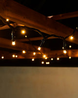 LINK PRO LED String Lights, Black Cable, Gold