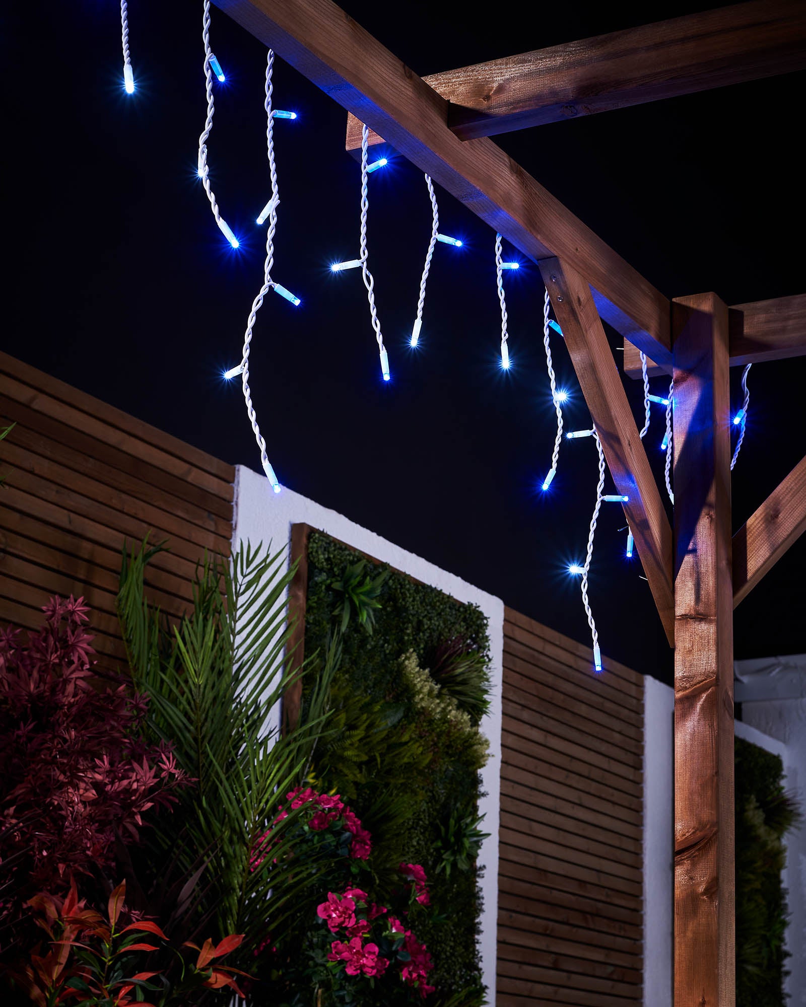 240v Pro Series  LED Icicle Lights, Blue / White