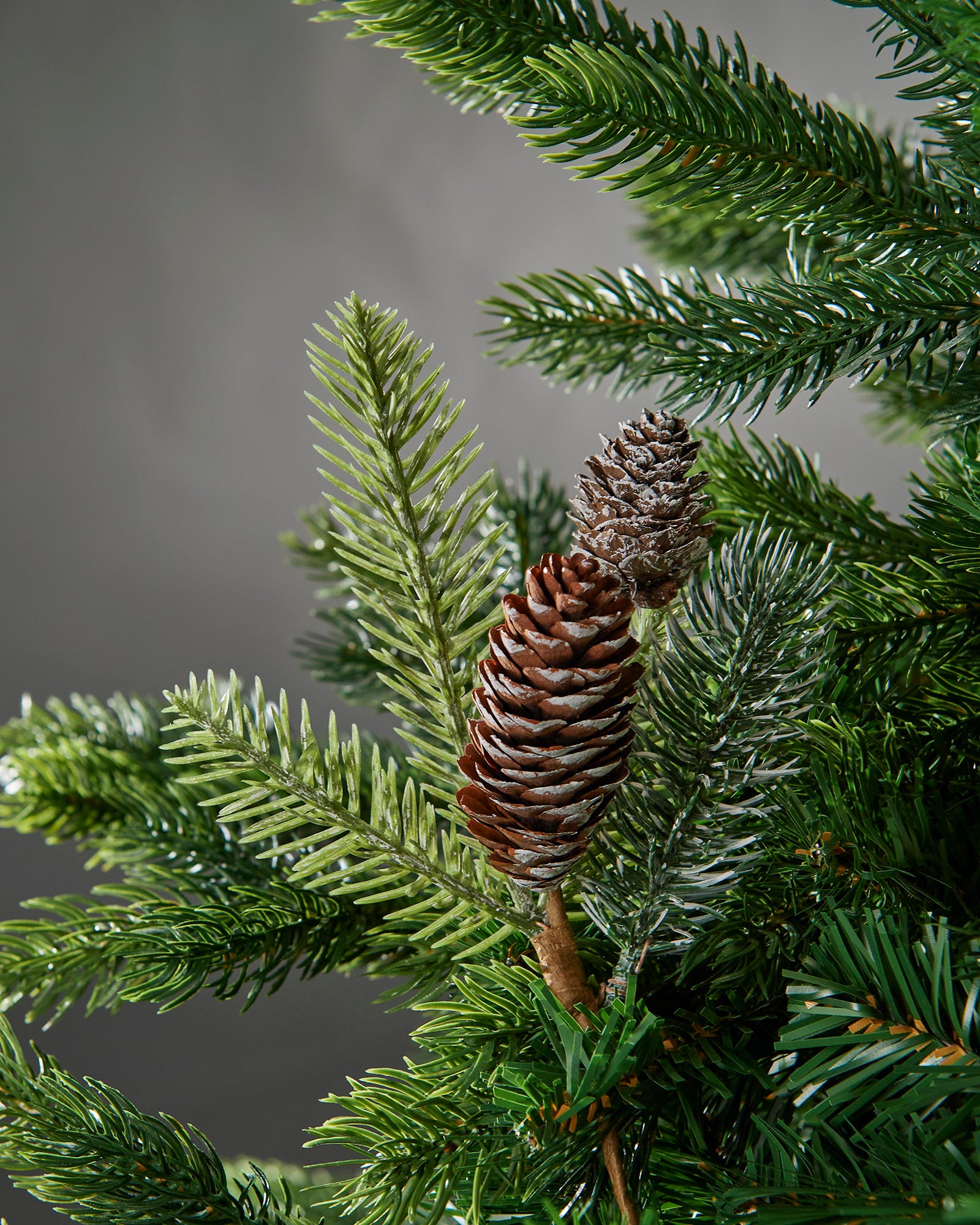 Set of 5 Spruce Pinecone Picks, 22 cm