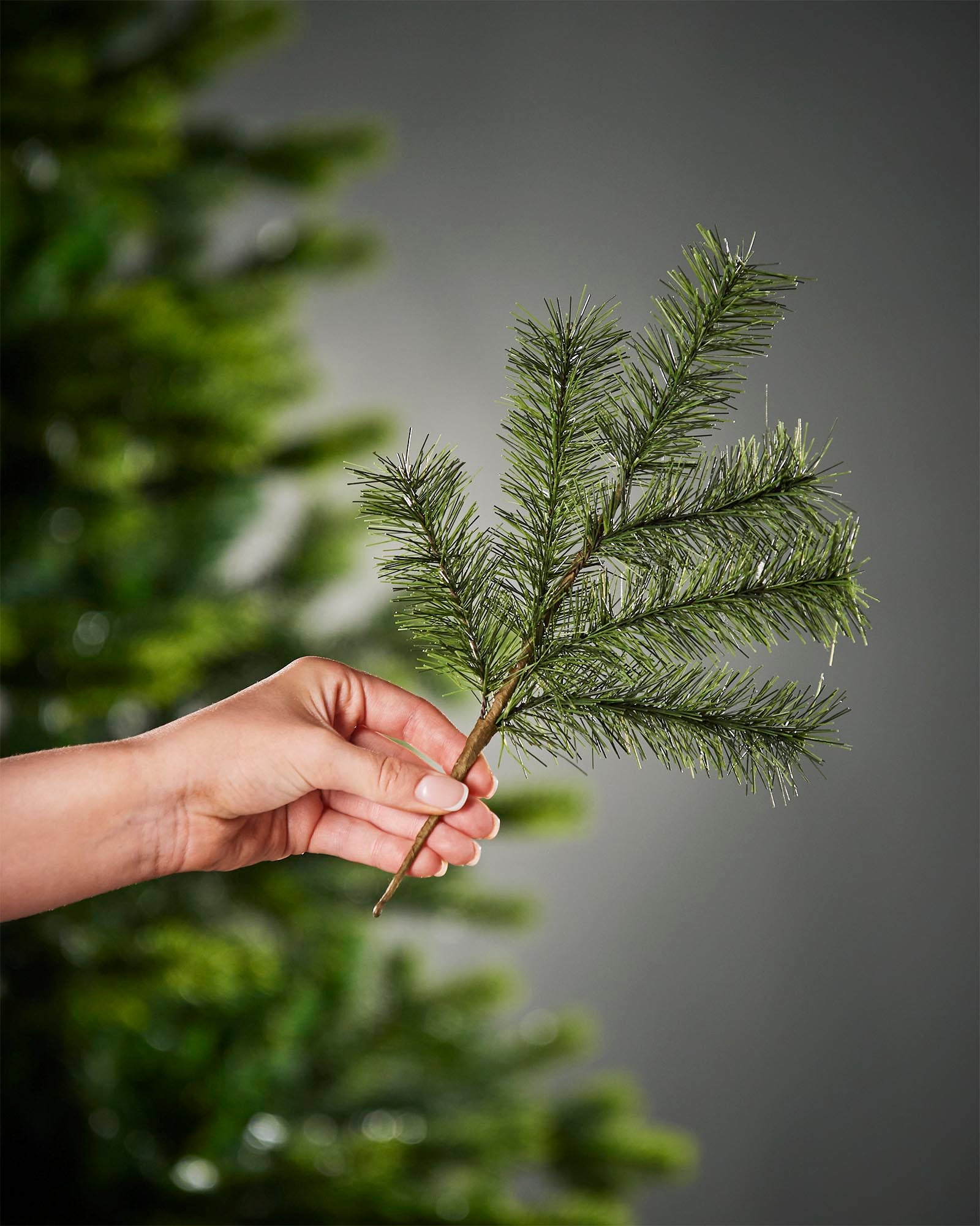 Set of 5 Pine Pick, 28 cm
