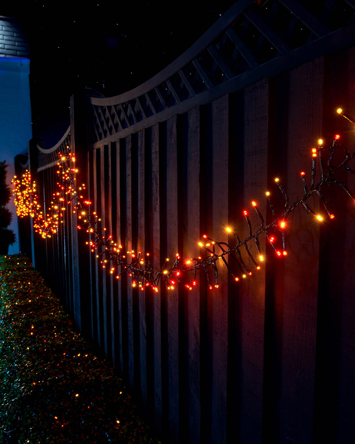 LINK UP LED Cluster Lights, Black Cable, Autumn Colour