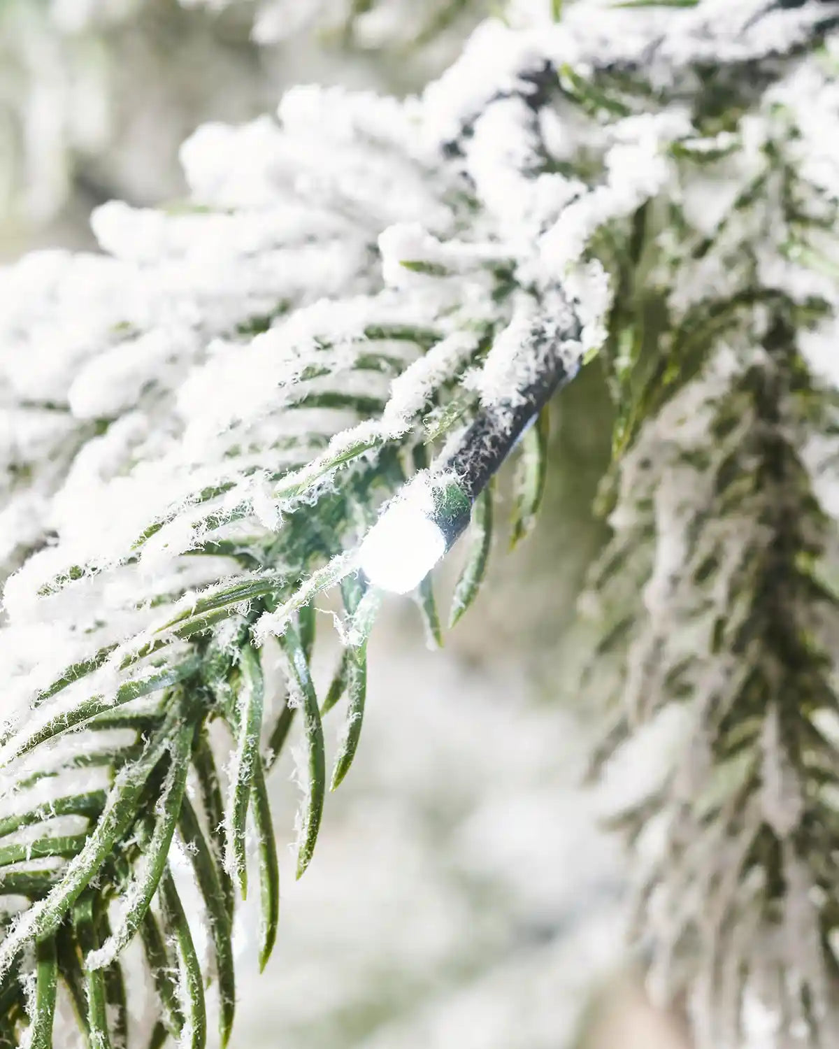 Close-up of an LED light glowing among snow flocked Christmas tree branches