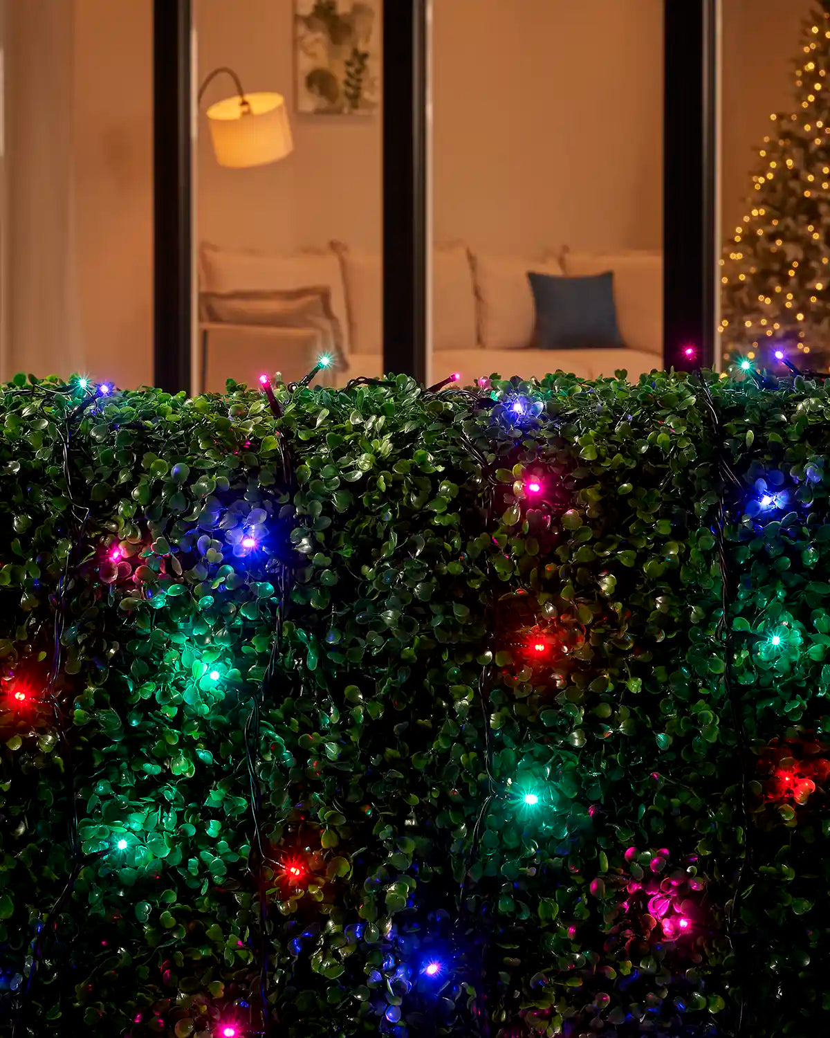 Aurora string lights with black cable arranged across a hedge outside a window.