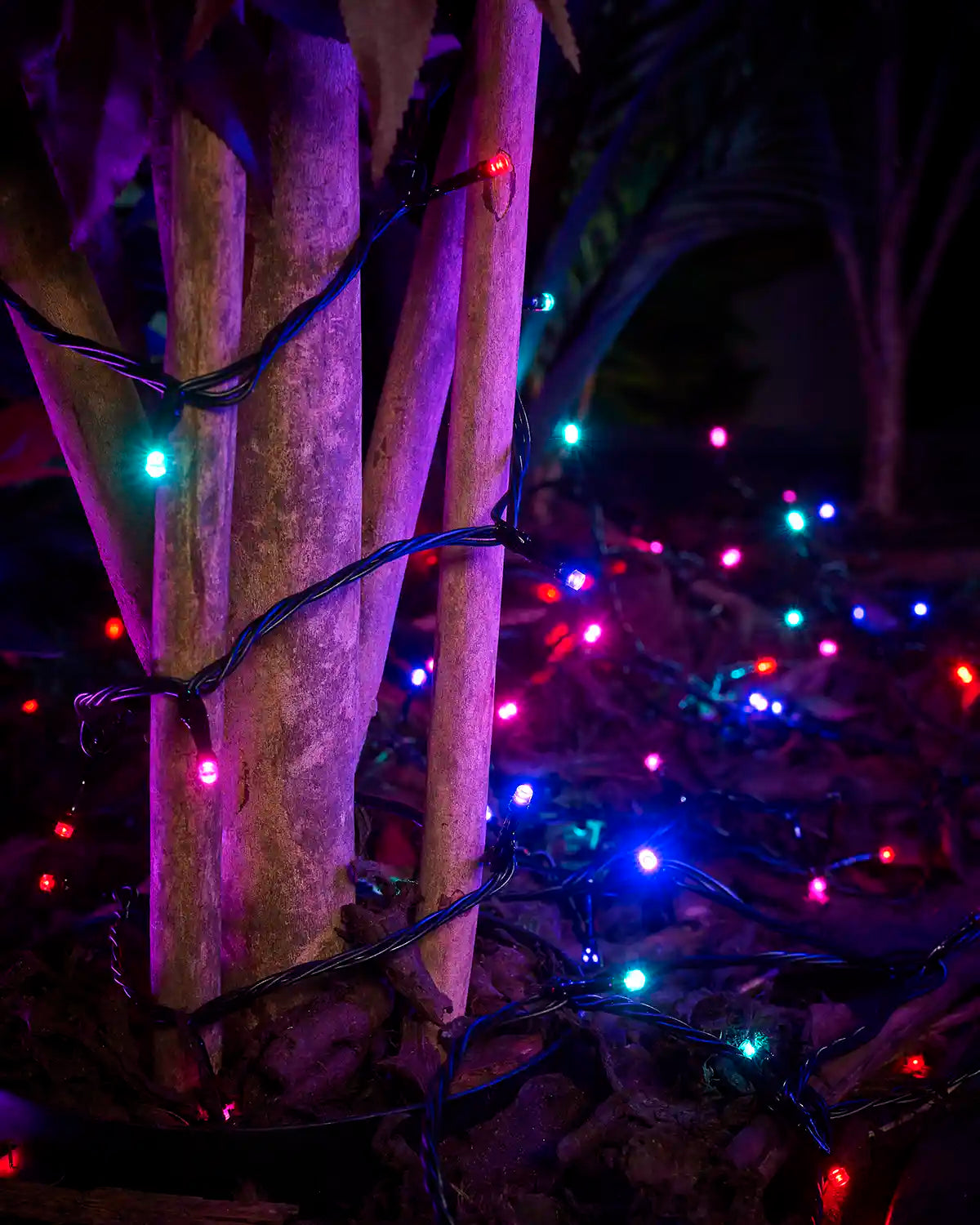 Aurora string lights with black cable wrapped around tree trunks in a garden display.