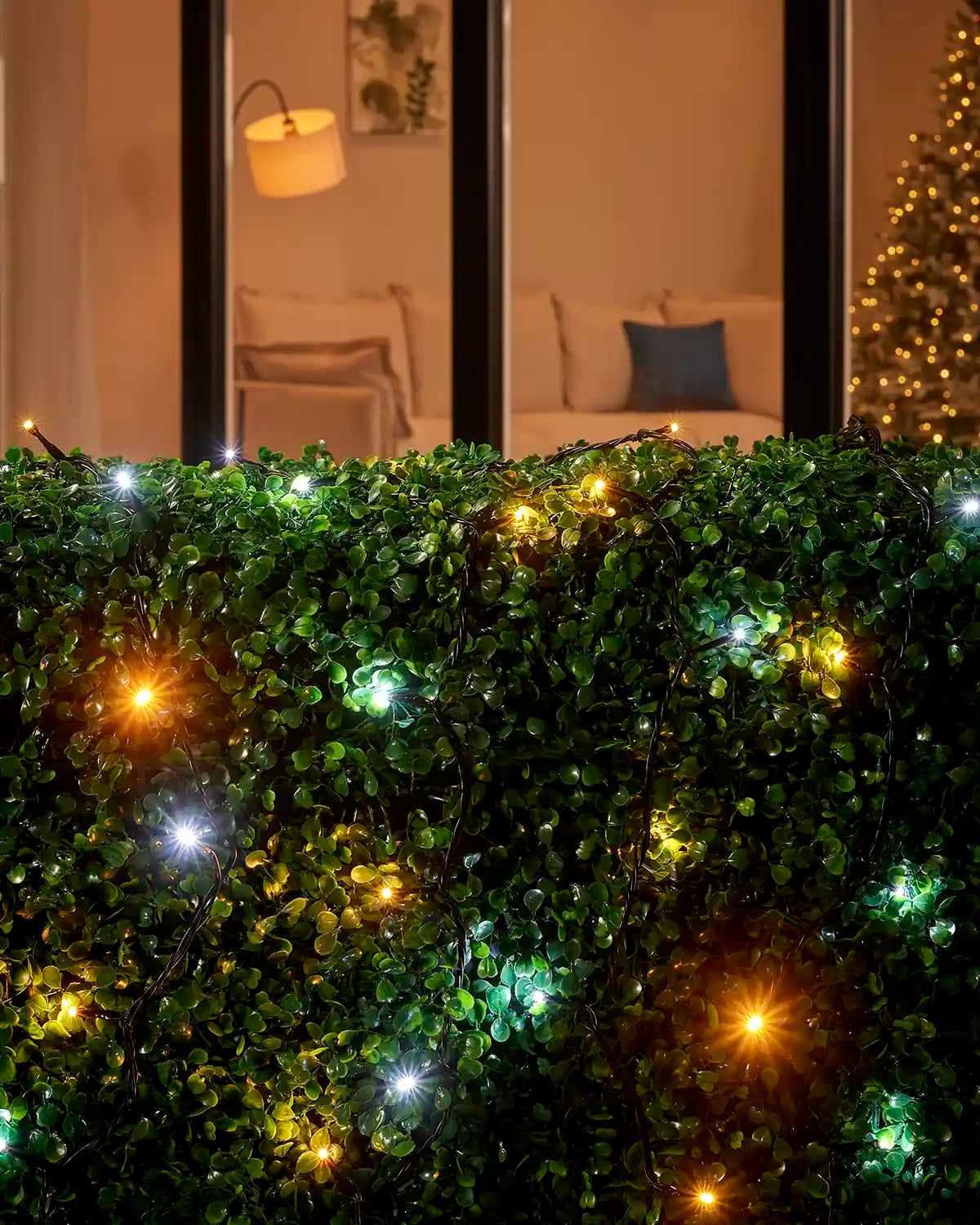 Warm white and white string lights with black cable arranged across a hedge outside a window.