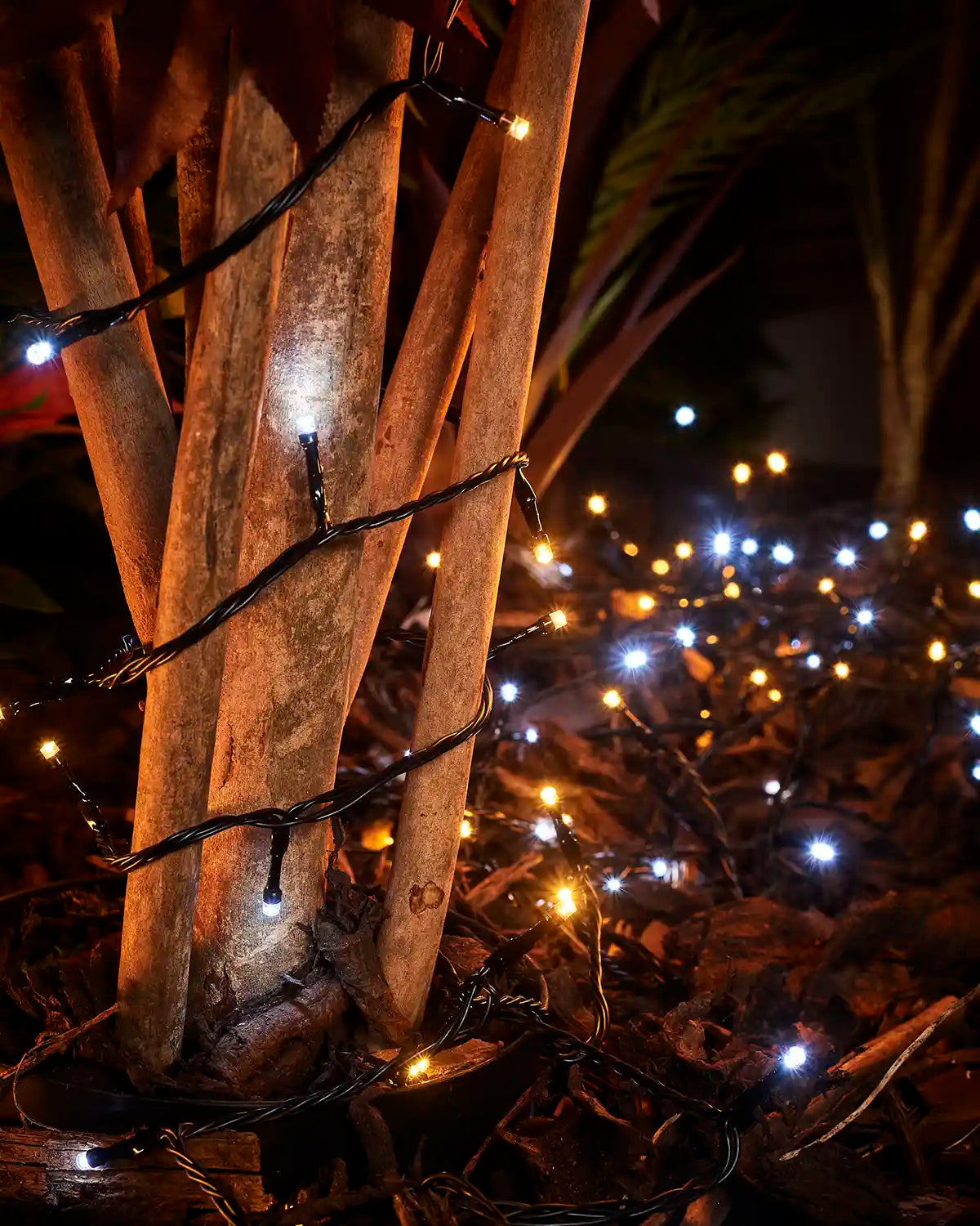 Warm white and white string lights with black cable wrapped around tree trunks in a garden display.