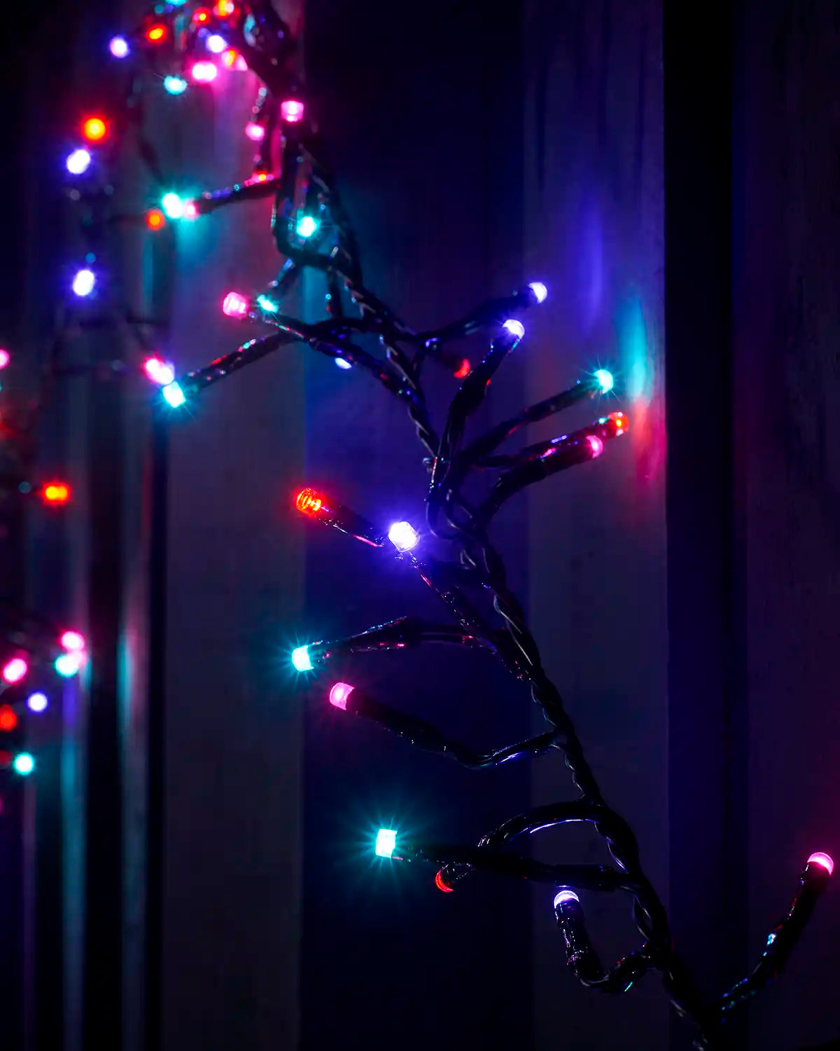 Close-up of pink, teal, red and purple aurora cluster lights on black cable.