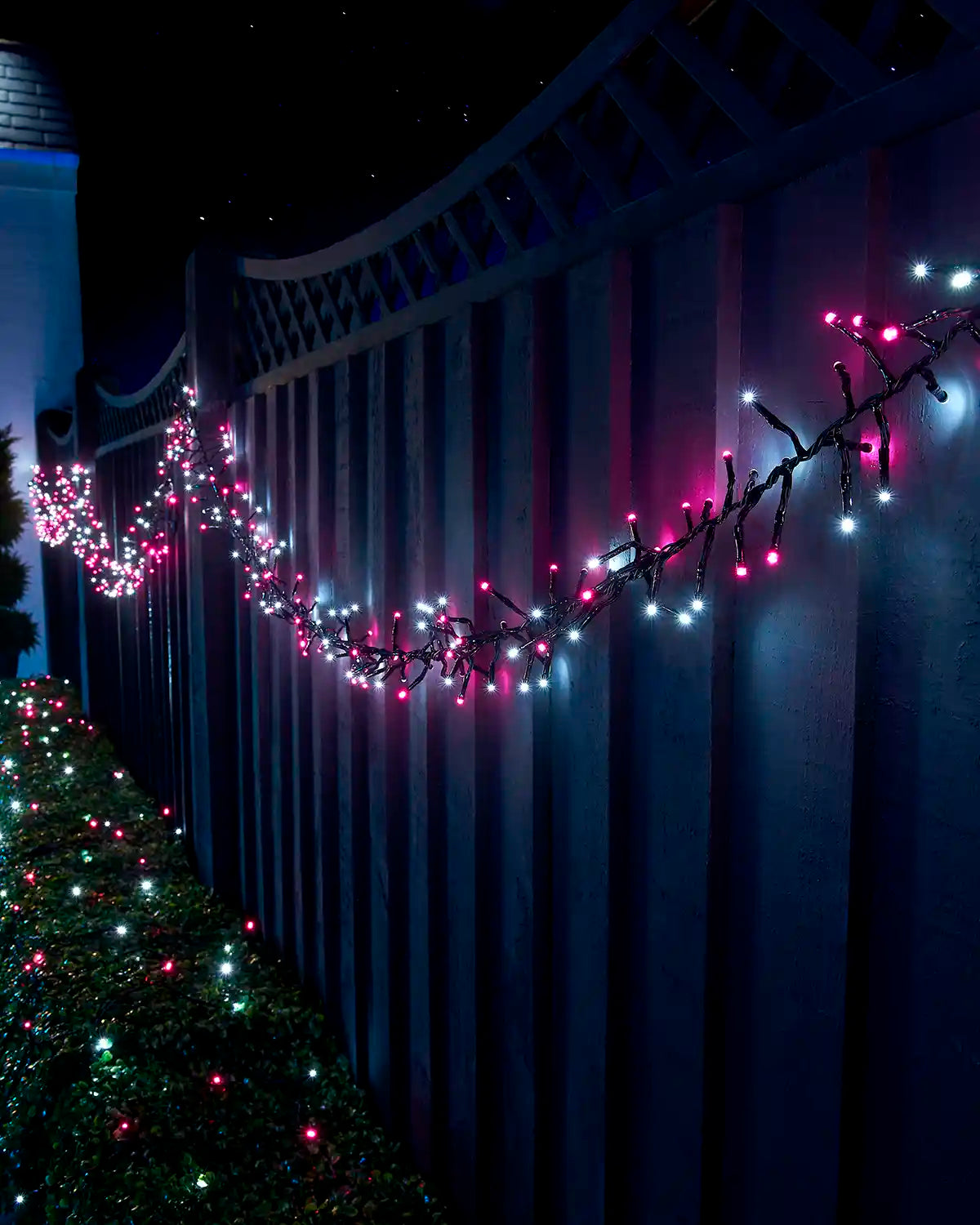 Pink and white cluster lights on black cable displayed along a garden fence and hedge.