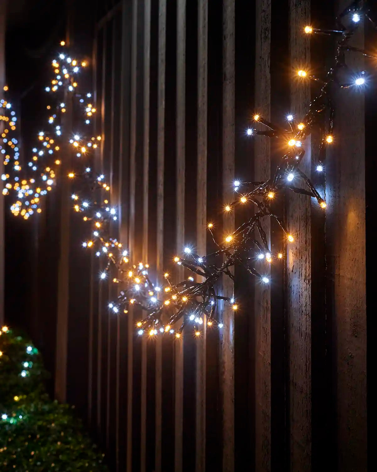 Close-up of warm white and white cluster lights on black cable against a dark background.