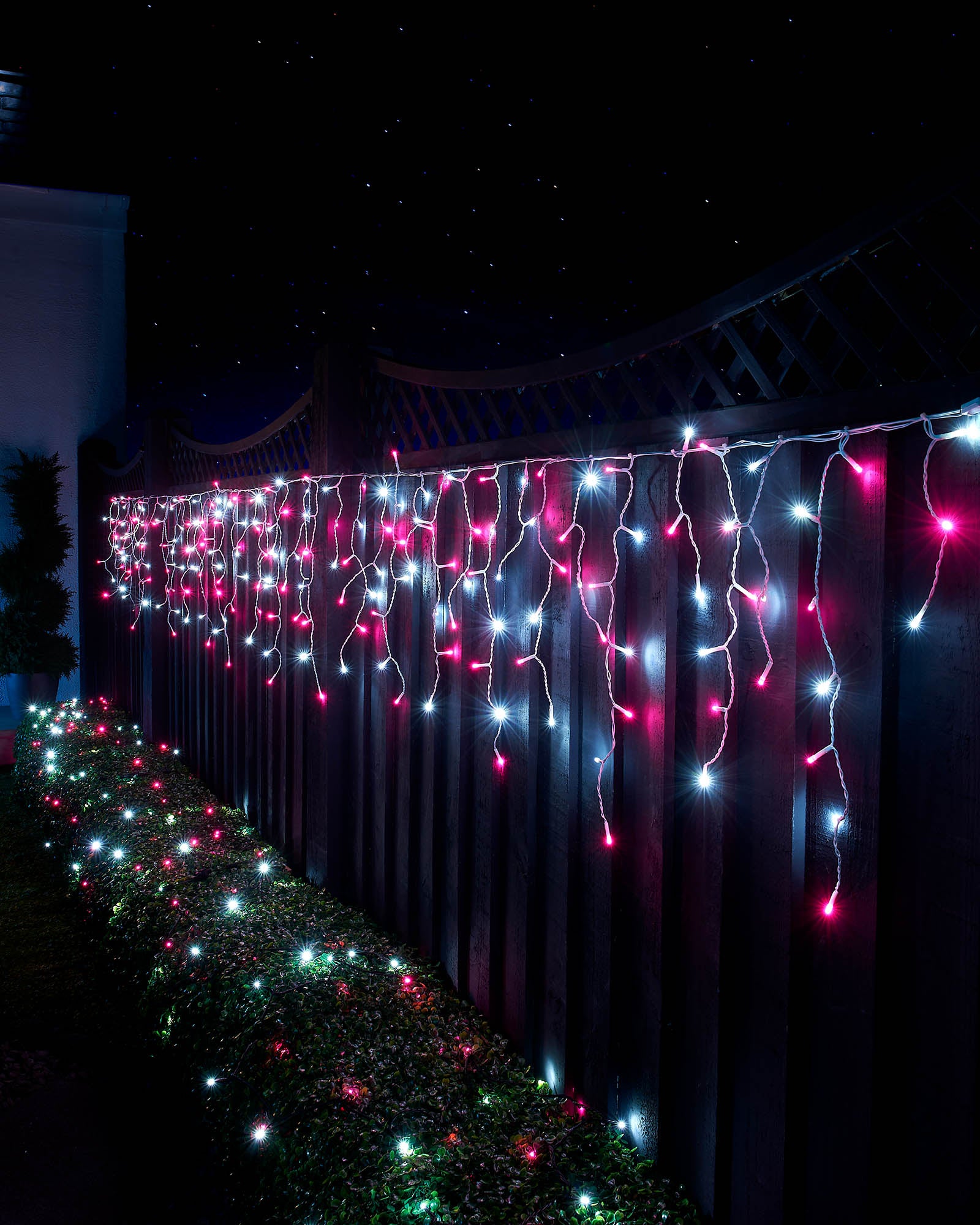 31v Home Series LED Icicle Lights, White Cable, Pink / White